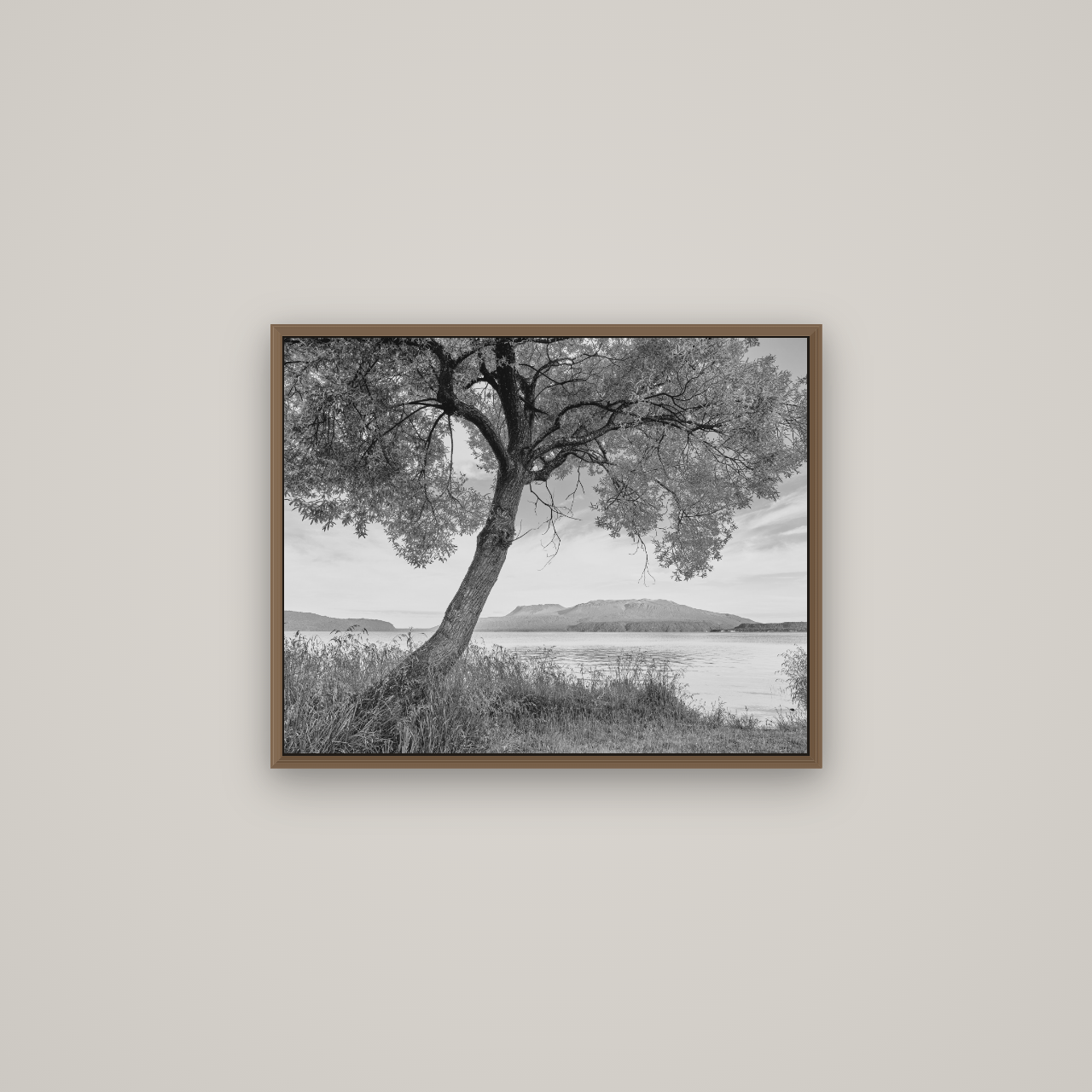 A Tree's Tale, Sunset at Lake Tarawera, Basel Walnut, 63×50 cm. New Zealand fine art wall art by Stephen Milner.