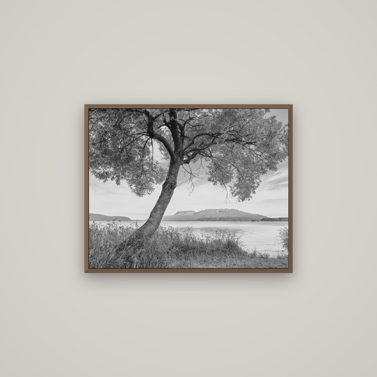 A Tree's Tale, Sunset at Lake Tarawera, Basel Walnut, 75×60 cm. New Zealand fine art wall art by Stephen Milner.