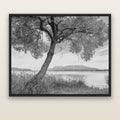 A Tree's Tale, Sunset at Lake Tarawera — black float frame canvas, 176 × 141 cm. New Zealand fine art landscape wall art by Stephen Milner.