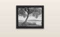 A Tree's Tale, Sunset at Lake Tarawera — black float frame canvas, 51 × 41 cm. New Zealand fine art landscape wall art by Stephen Milner.
