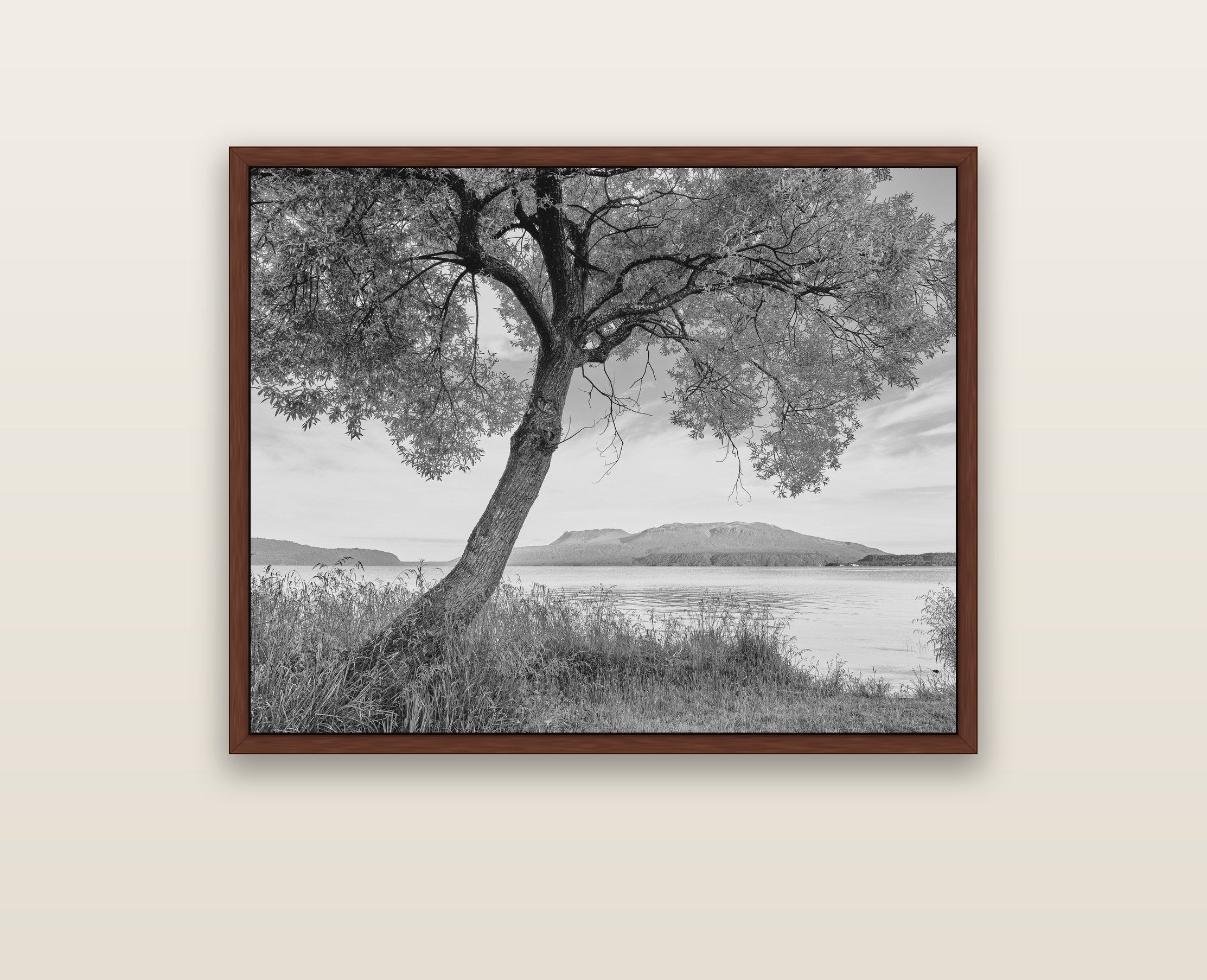 A Tree's Tale, Sunset at Lake Tarawera — brown float frame framed canvas print. New Zealand fine art landscape wall art by Stephen Milner.
