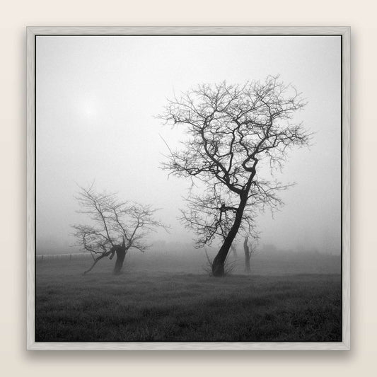 And Child, Waikato — framed metallic canvas print, Antique Silver frame. New Zealand fine art landscape wall art by Stephen Milner.