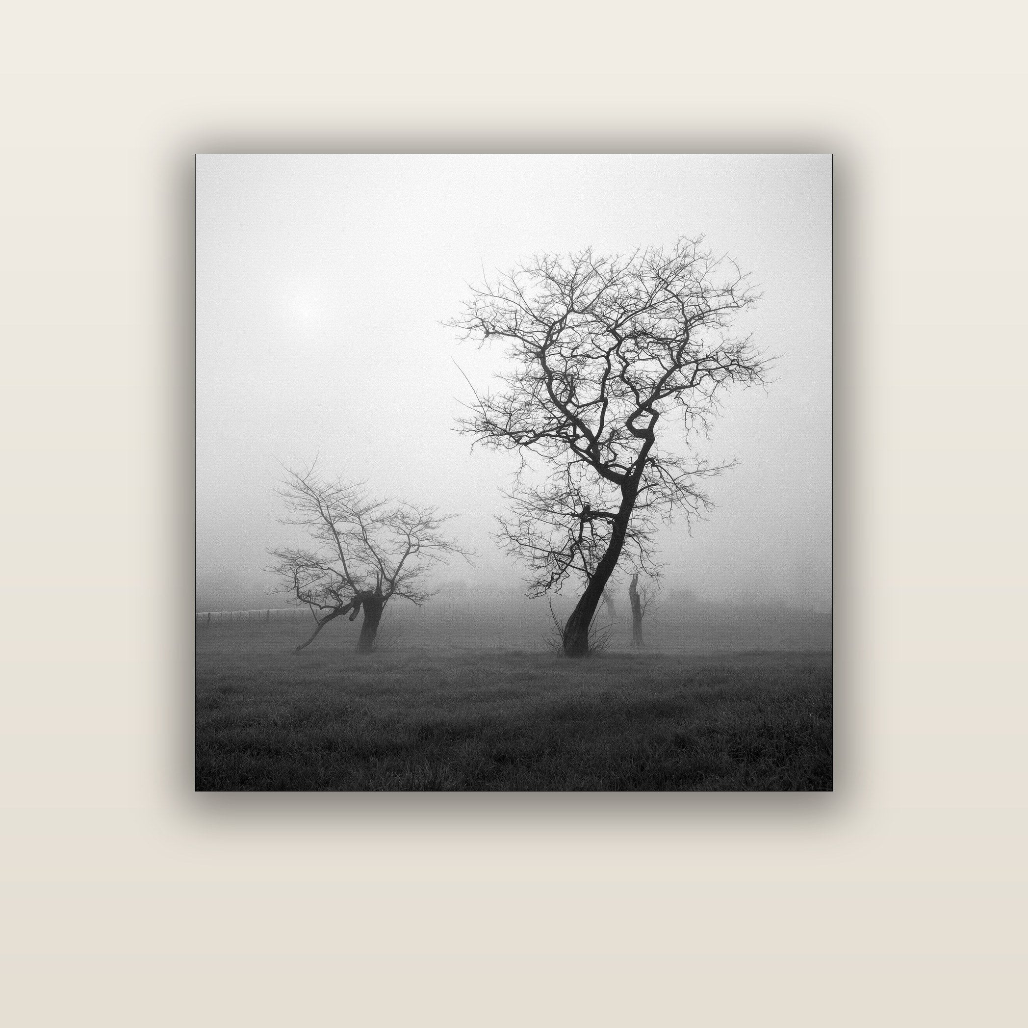 And Child, Waikato — acrylic glass print. New Zealand fine art landscape wall art by Stephen Milner.