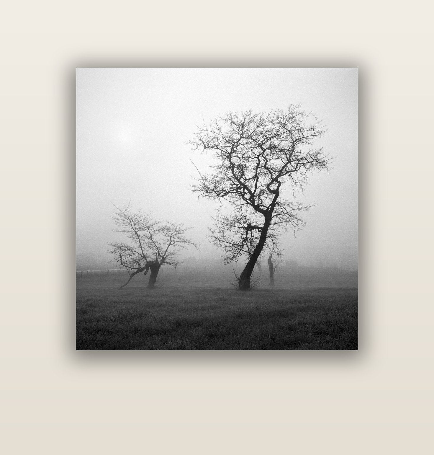 And Child, Waikato — acrylic glass print, 112 × 112 cm. New Zealand fine art landscape wall art by Stephen Milner.