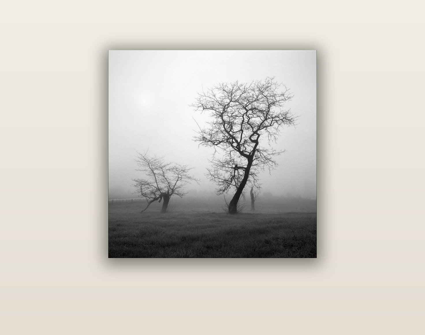 And Child, Waikato — acrylic glass print, 61 × 61 cm. New Zealand fine art landscape wall art by Stephen Milner.