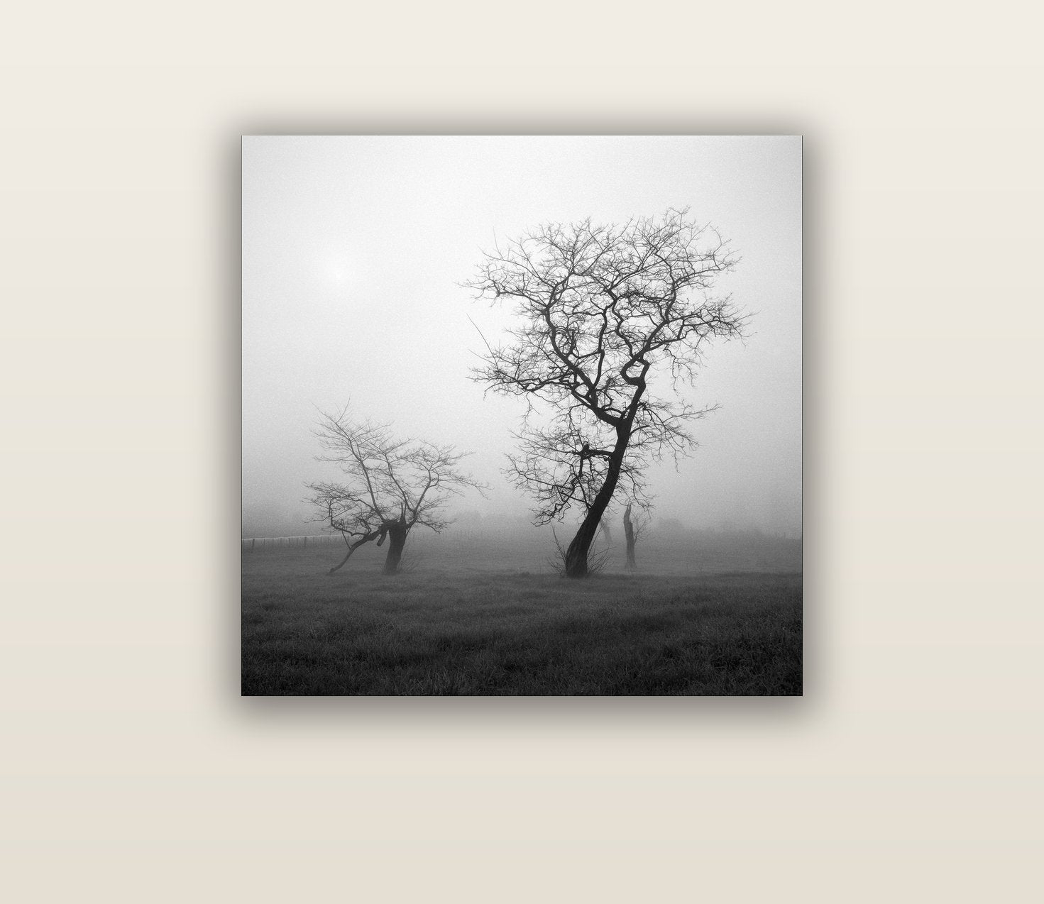 And Child, Waikato — acrylic glass print, 76 × 76 cm. New Zealand fine art landscape wall art by Stephen Milner.