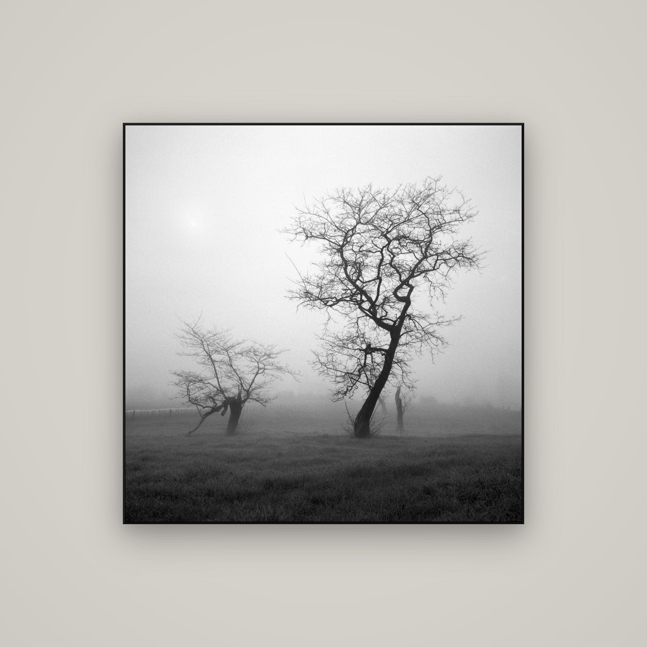 And Child, Waikato — ArtBox Black, 100×100 cm. New Zealand fine art wall art by Stephen Milner.
