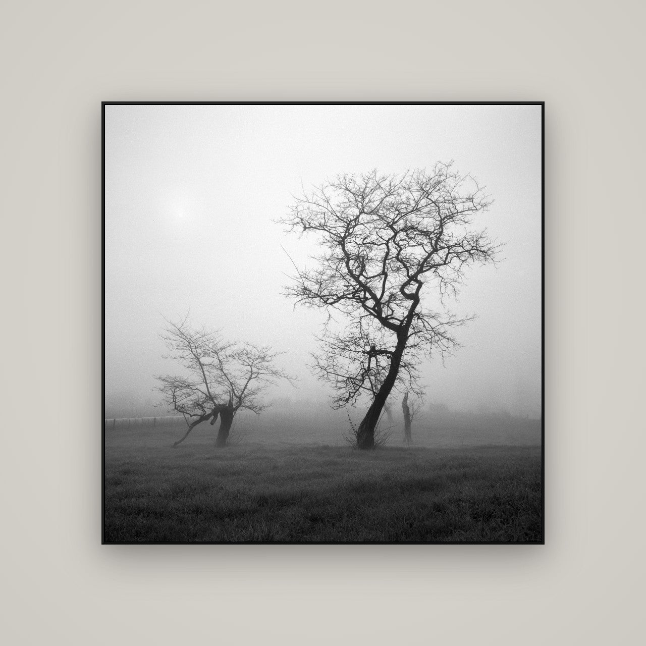 And Child, Waikato — ArtBox Black, 120×120 cm. New Zealand fine art wall art by Stephen Milner.