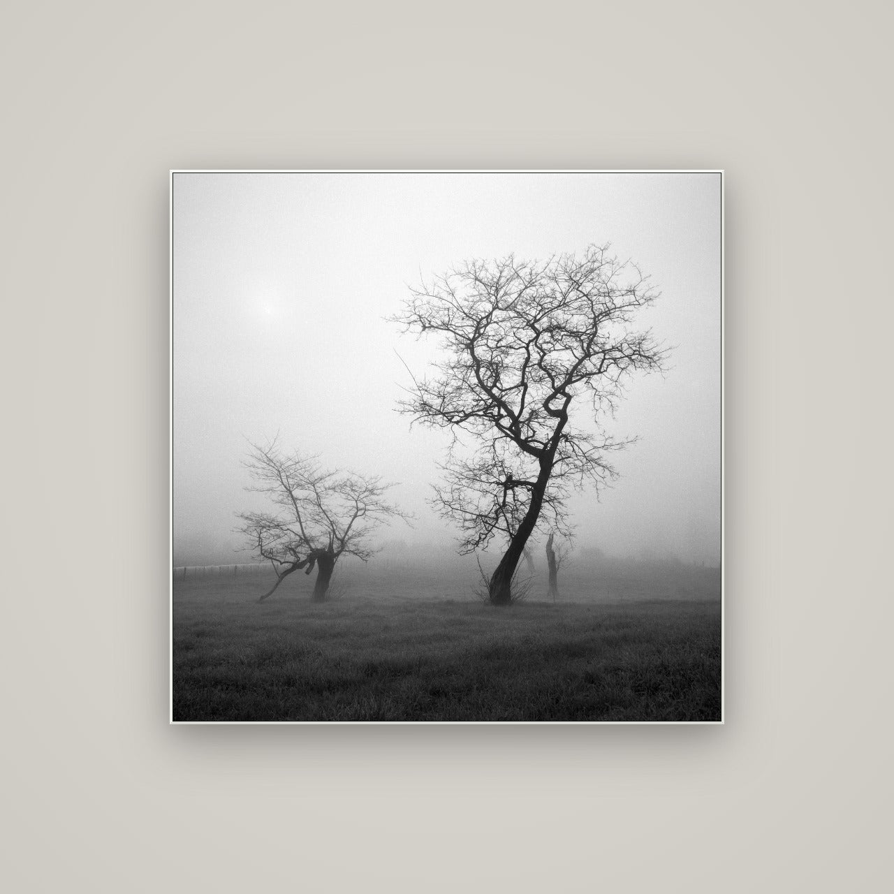 And Child, Waikato — ArtBox White, 100×100 cm. New Zealand fine art wall art by Stephen Milner.