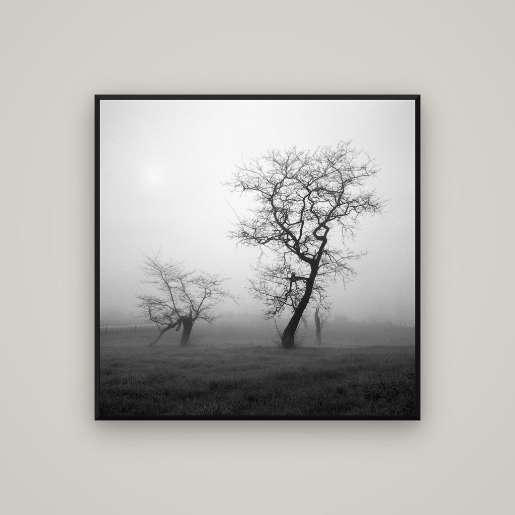 And Child, Waikato — Basel Black Matte, 100×100 cm. New Zealand fine art wall art by Stephen Milner.