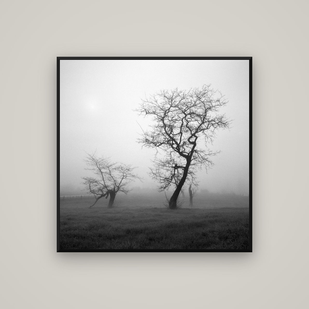 And Child, Waikato — Basel Black, 100×100 cm. New Zealand fine art wall art by Stephen Milner.