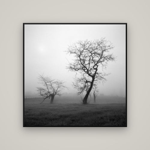 And Child, Waikato — Basel Black, 120×120 cm. New Zealand fine art wall art by Stephen Milner.
