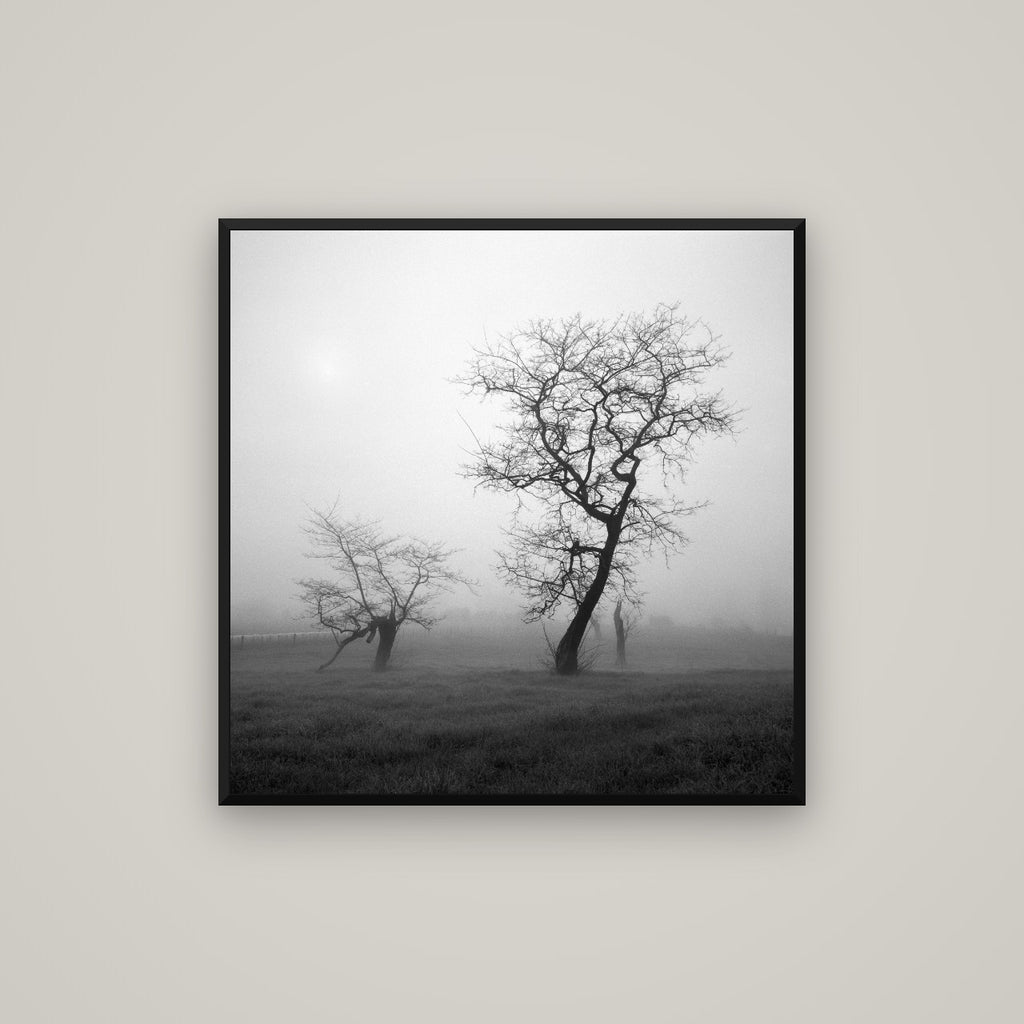 And Child, Waikato — Basel Black Matte, 80×80 cm. New Zealand fine art wall art by Stephen Milner.