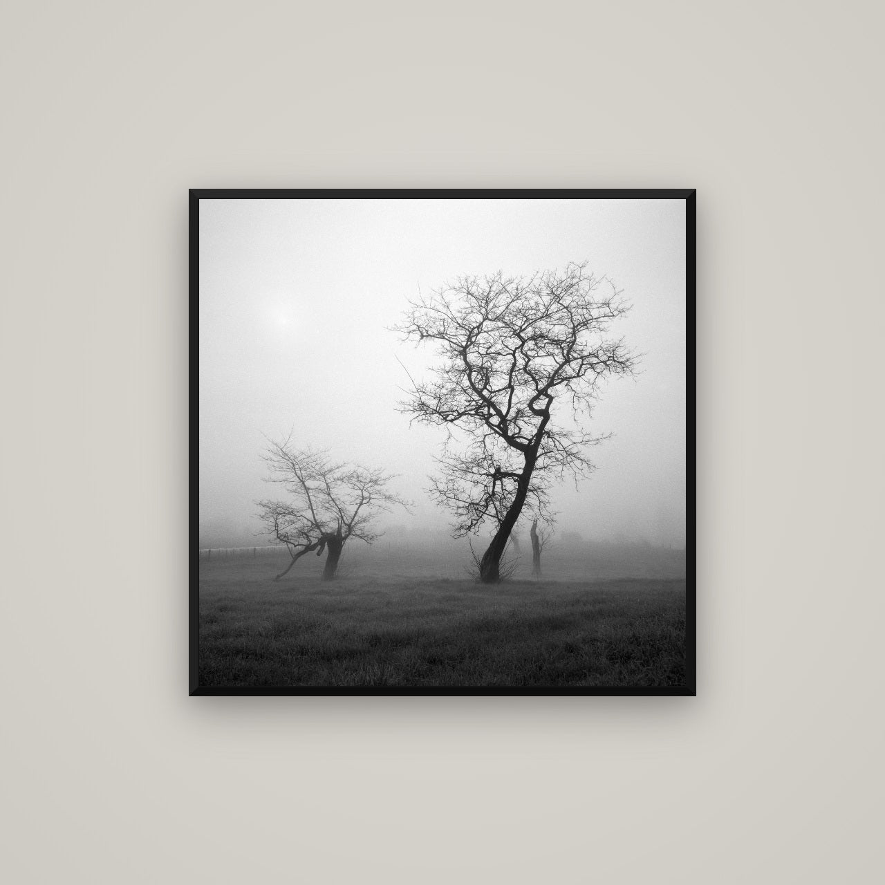 And Child, Waikato — Basel Black, 80×80 cm. New Zealand fine art wall art by Stephen Milner.
