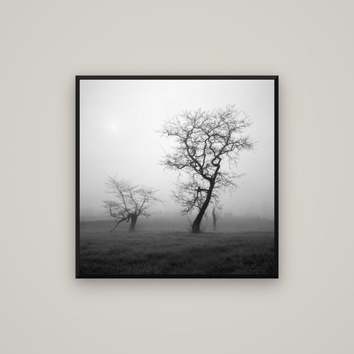 And Child, Waikato — Basel Black, 80×80 cm. New Zealand fine art wall art by Stephen Milner.