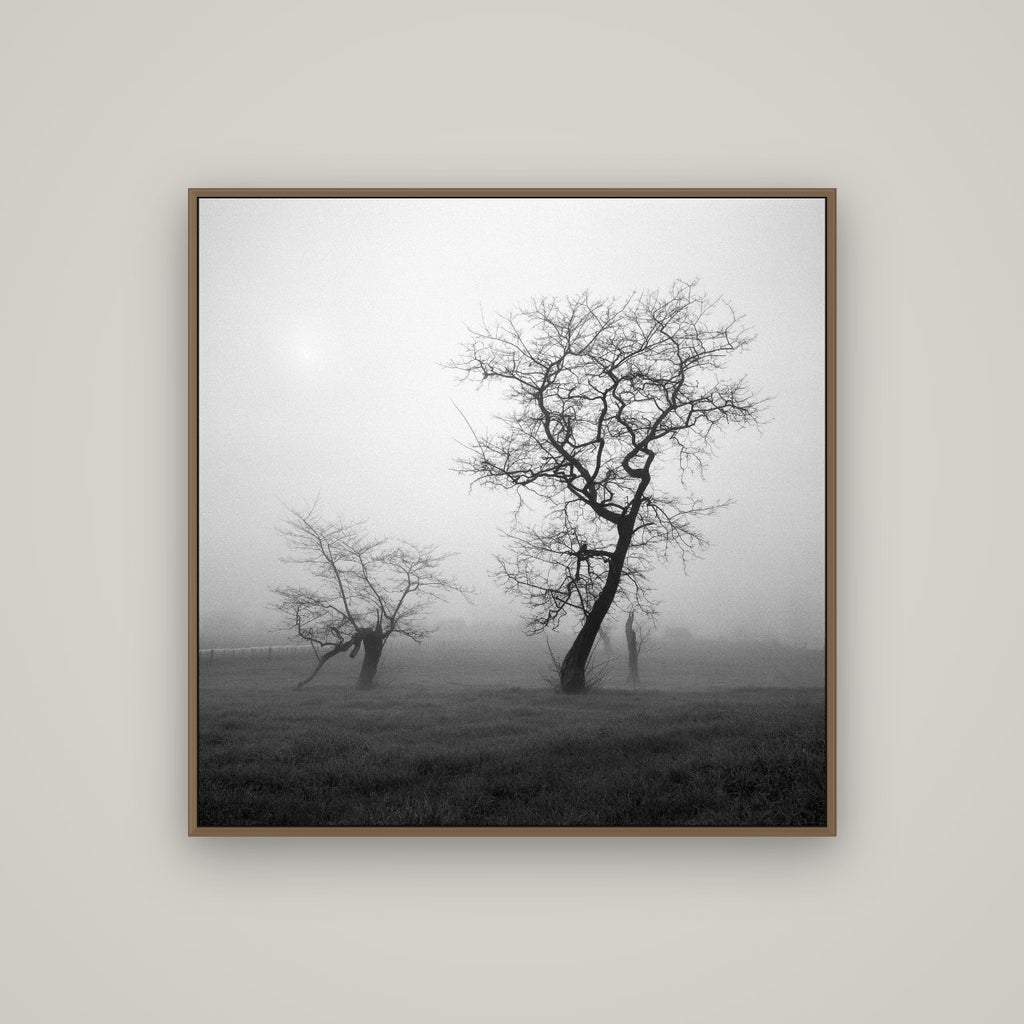 And Child, Waikato, Basel Walnut, 100×100 cm. New Zealand fine art wall art by Stephen Milner.