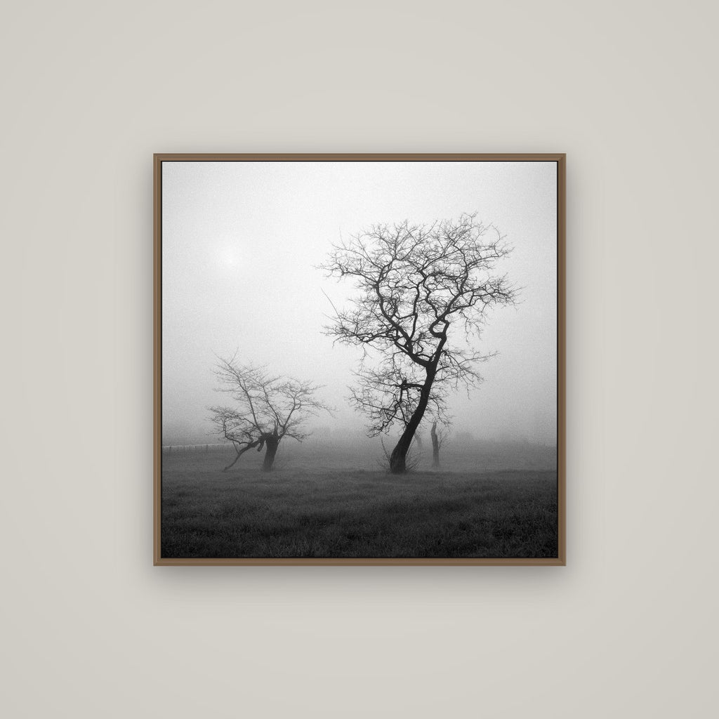 And Child, Waikato, Basel Walnut, 80×80 cm. New Zealand fine art wall art by Stephen Milner.