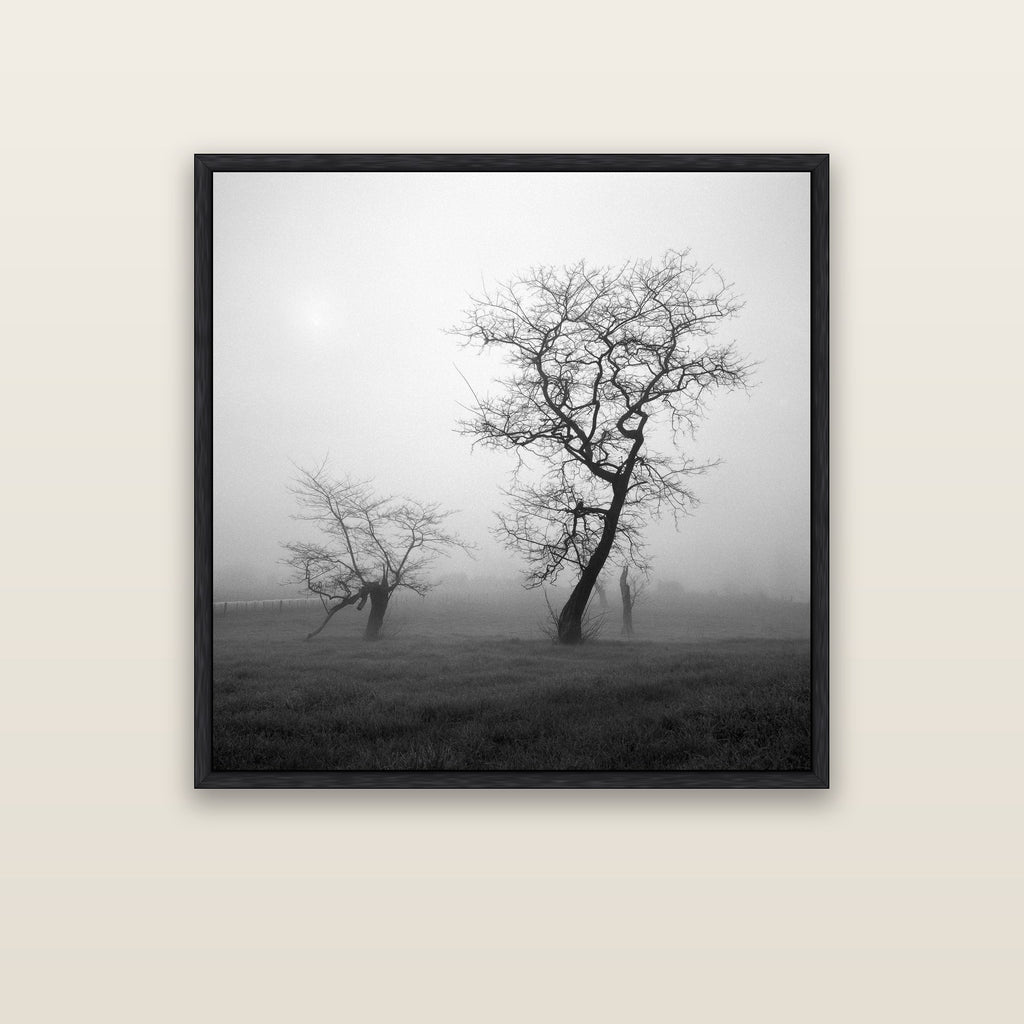 And Child, Waikato — black float frame framed canvas print. New Zealand fine art landscape wall art by Stephen Milner.