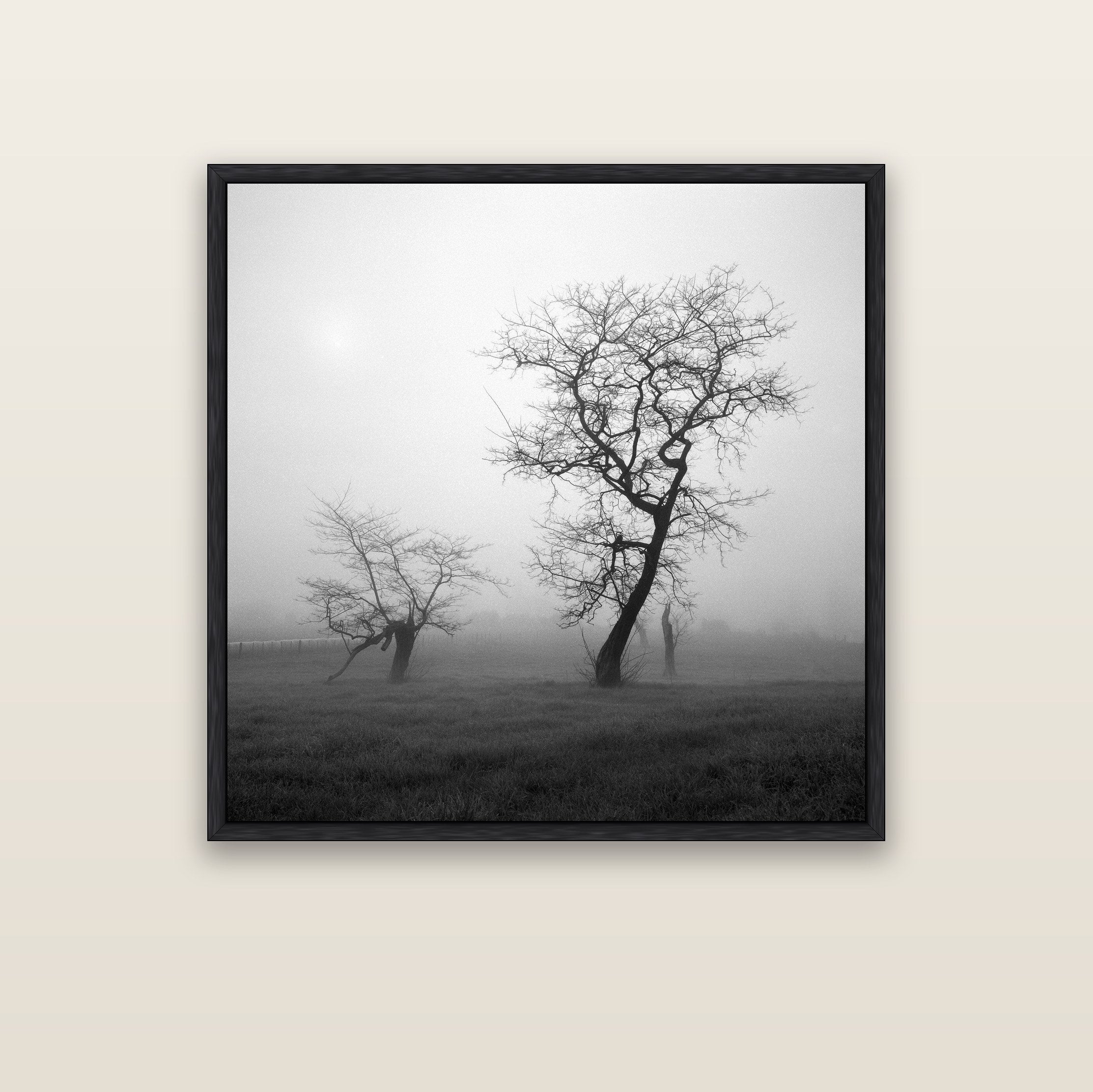 And Child, Waikato — black float frame framed canvas print. New Zealand fine art landscape wall art by Stephen Milner.