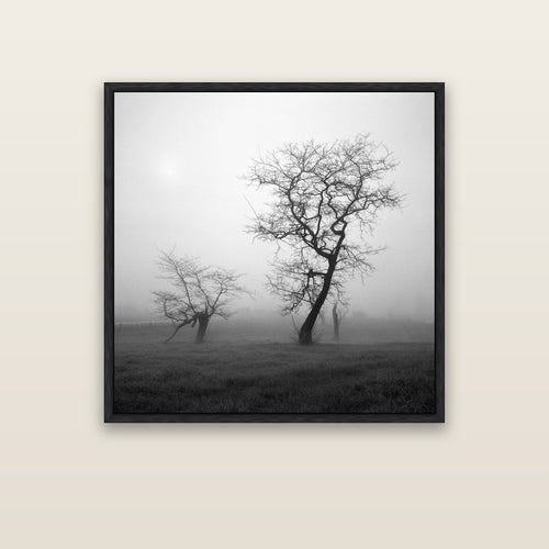 And Child, Waikato — black float frame framed canvas print. New Zealand fine art landscape wall art by Stephen Milner.