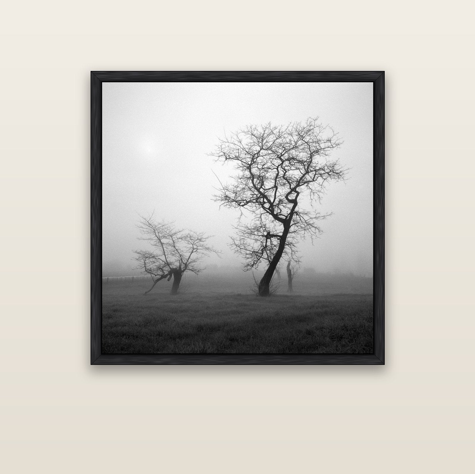 And Child, Waikato — black float frame canvas, 102 × 102 cm. New Zealand fine art landscape wall art by Stephen Milner.