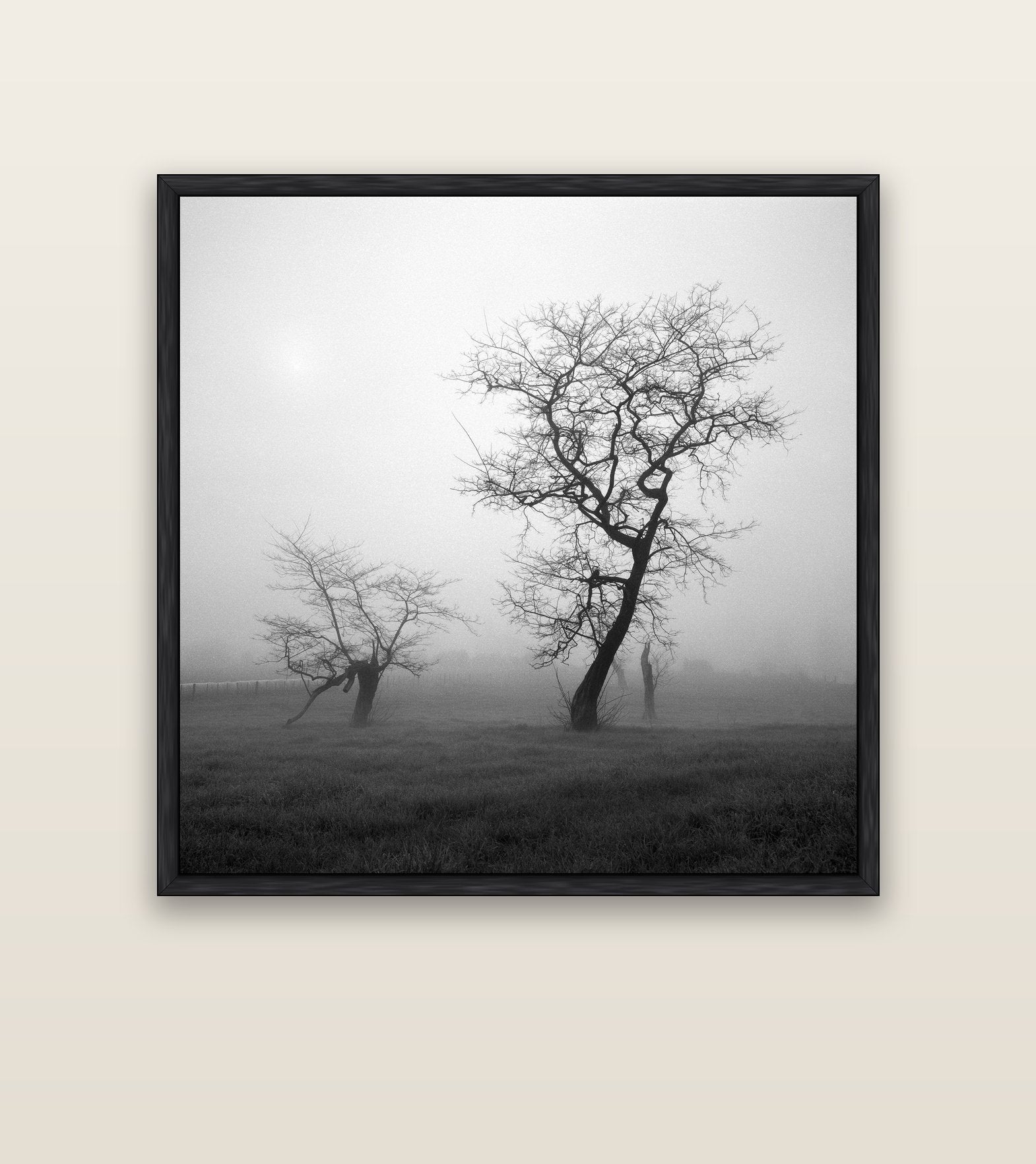 And Child, Waikato — black float frame canvas, 127 × 127 cm. New Zealand fine art landscape wall art by Stephen Milner.