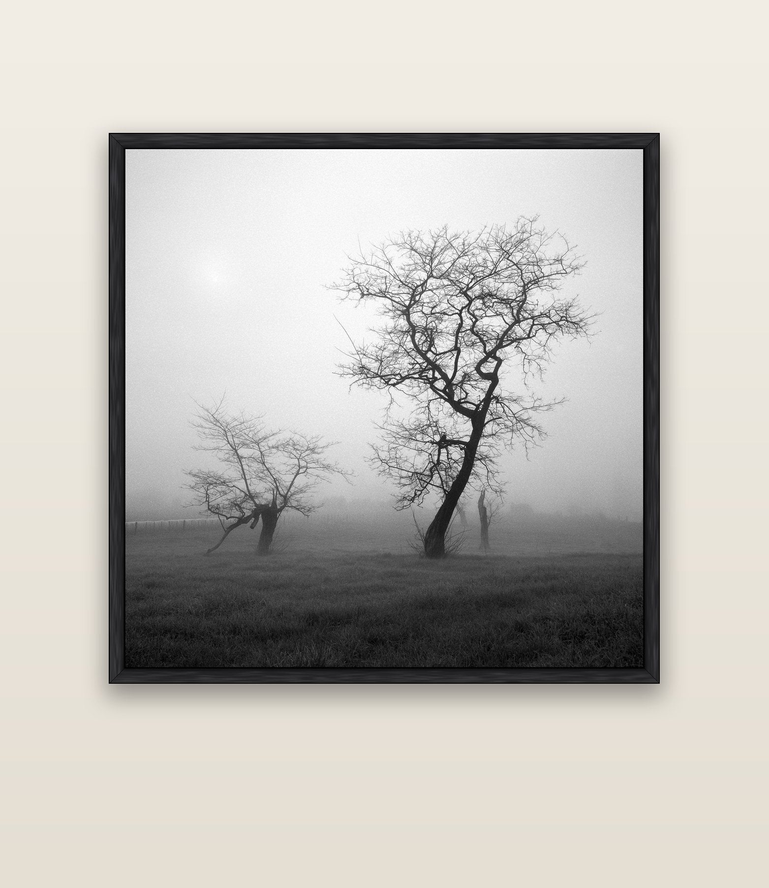 And Child, Waikato — black float frame canvas, 133 × 133 cm. New Zealand fine art landscape wall art by Stephen Milner.