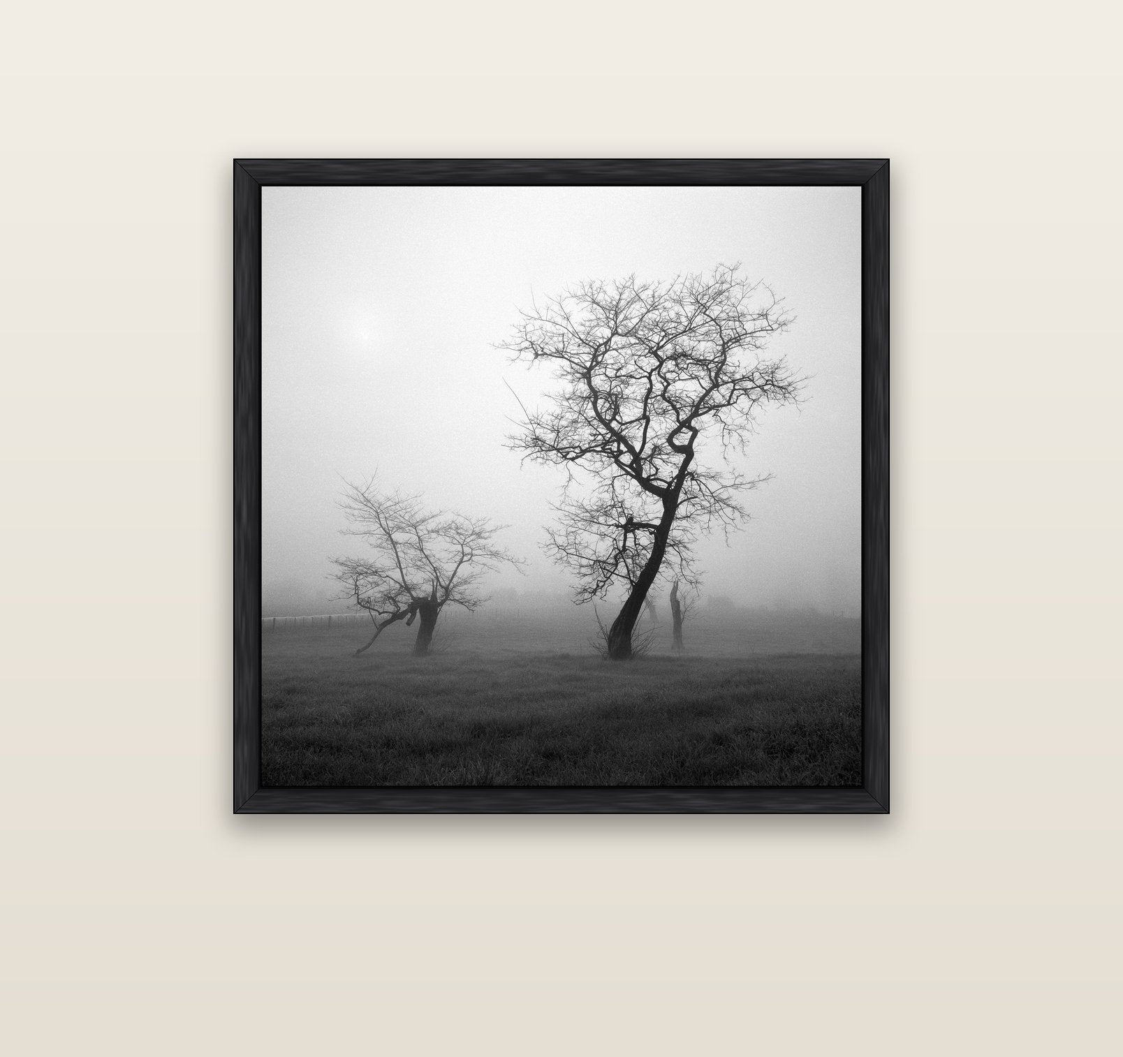 And Child, Waikato — black float frame canvas, 91 × 91 cm. New Zealand fine art landscape wall art by Stephen Milner.