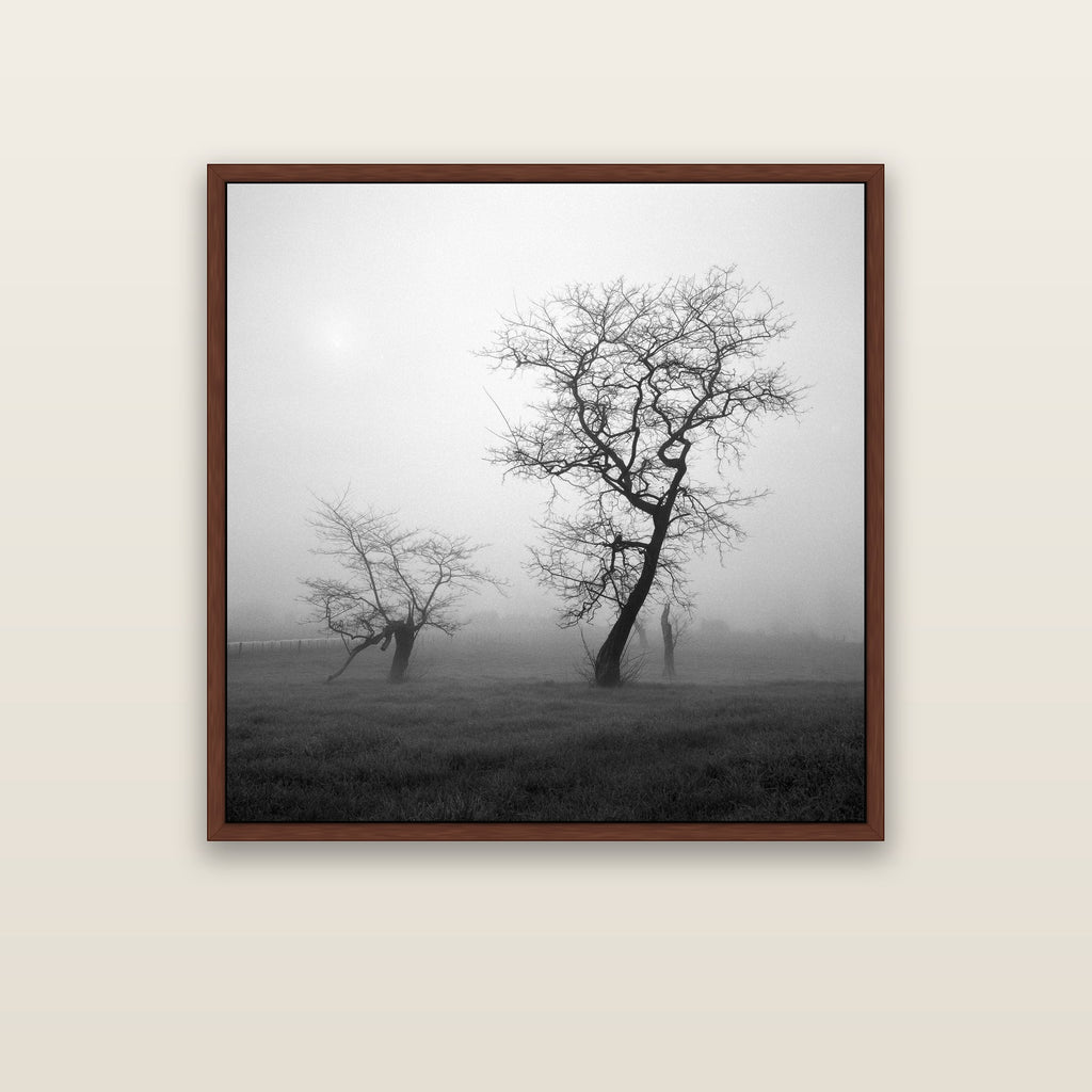 And Child, Waikato — brown float frame framed canvas print. New Zealand fine art landscape wall art by Stephen Milner.