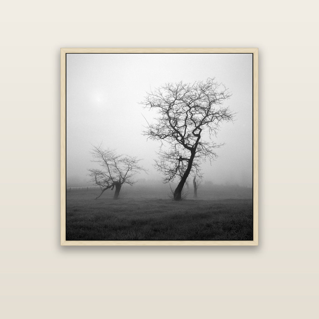And Child, Waikato — natural float frame framed canvas print. New Zealand fine art landscape wall art by Stephen Milner.