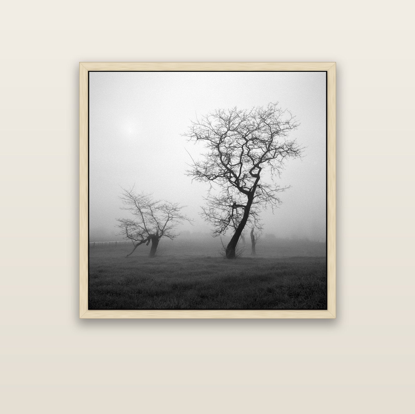 And Child, Waikato — natural float frame canvas, 102 × 102 cm. New Zealand fine art landscape wall art by Stephen Milner.