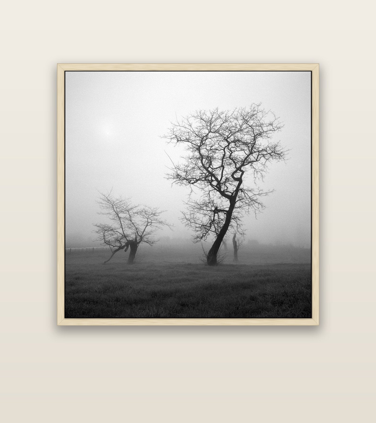 And Child, Waikato — natural float frame canvas, 127 × 127 cm. New Zealand fine art landscape wall art by Stephen Milner.