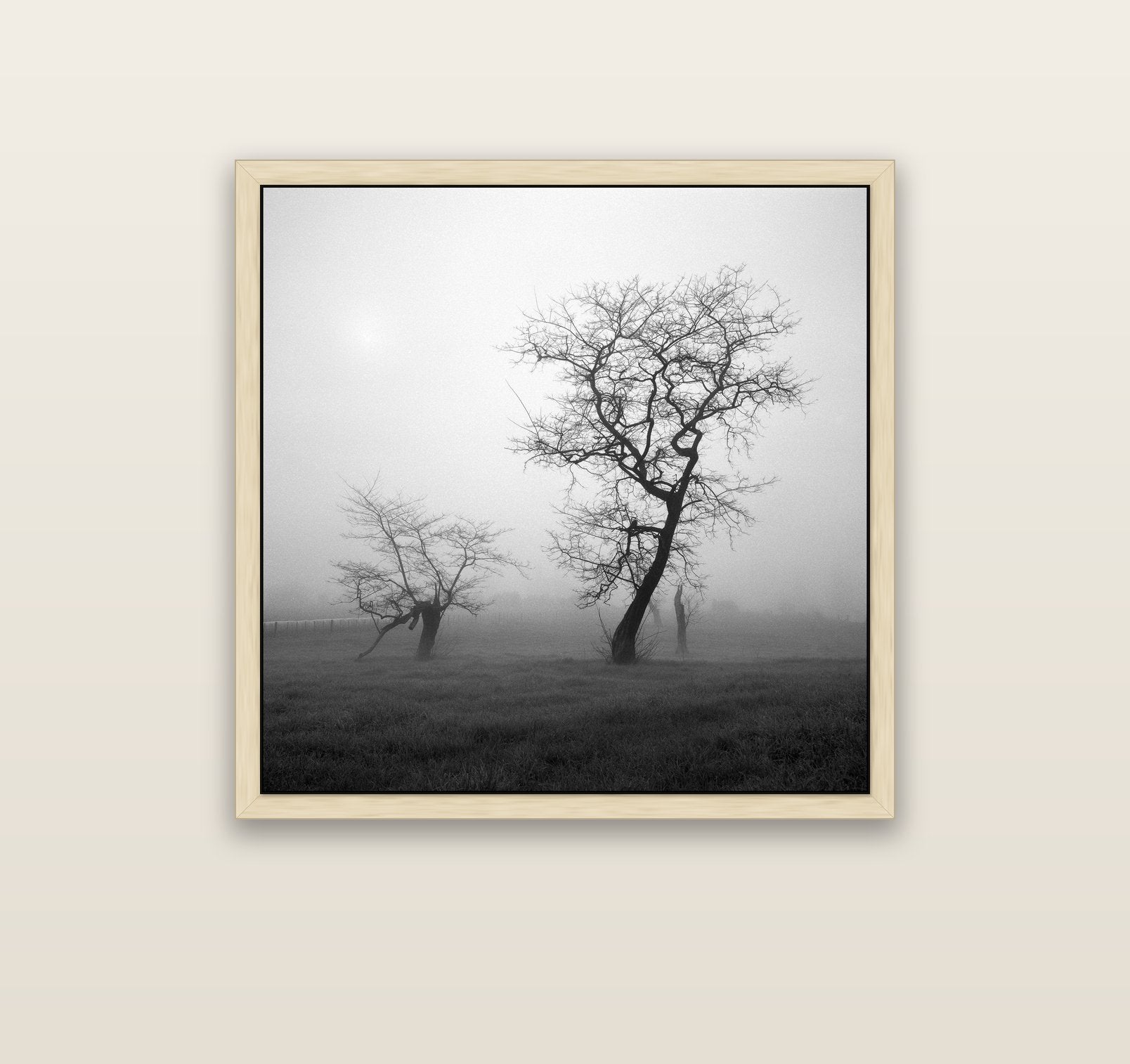 And Child, Waikato — natural float frame canvas, 91 × 91 cm. New Zealand fine art landscape wall art by Stephen Milner.