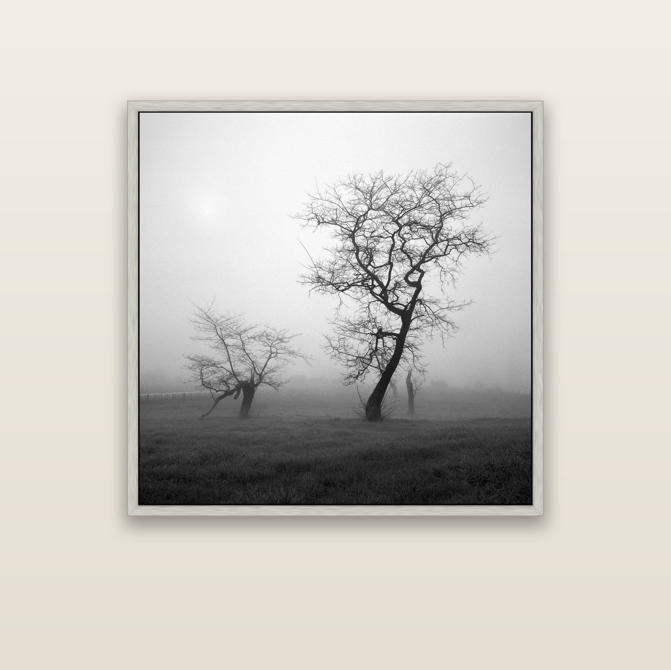 And Child, Waikato — silver float frame framed canvas print. New Zealand fine art landscape wall art by Stephen Milner.