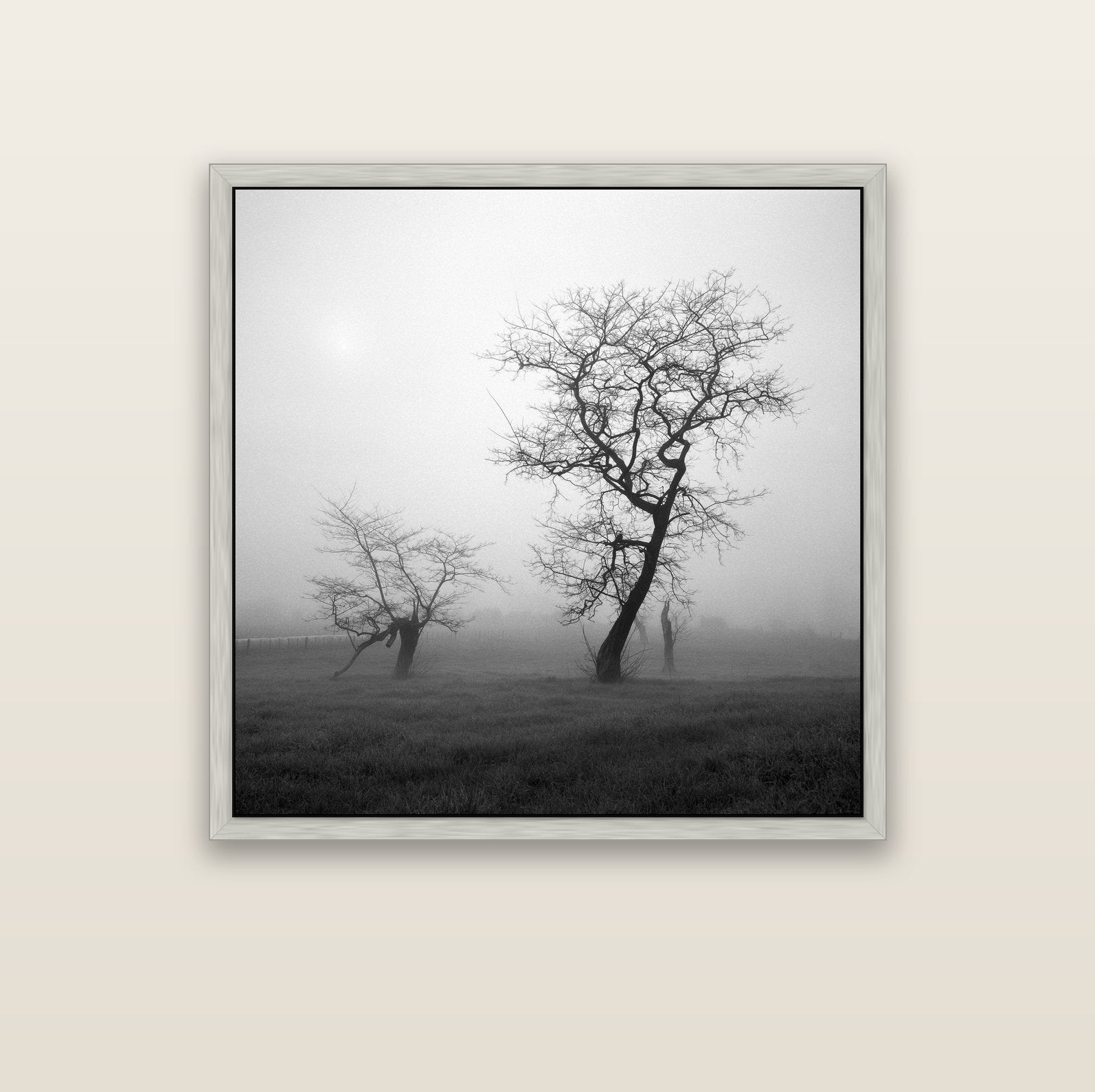And Child, Waikato — silver float frame canvas, 102 × 102 cm. New Zealand fine art landscape wall art by Stephen Milner.