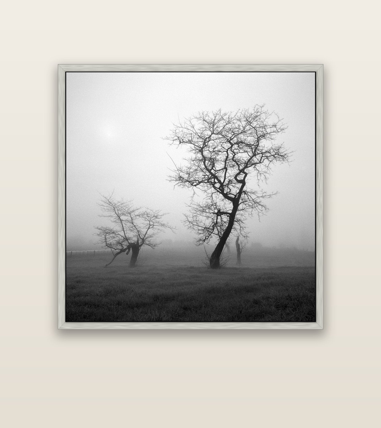 And Child, Waikato — silver float frame canvas, 127 × 127 cm. New Zealand fine art landscape wall art by Stephen Milner.
