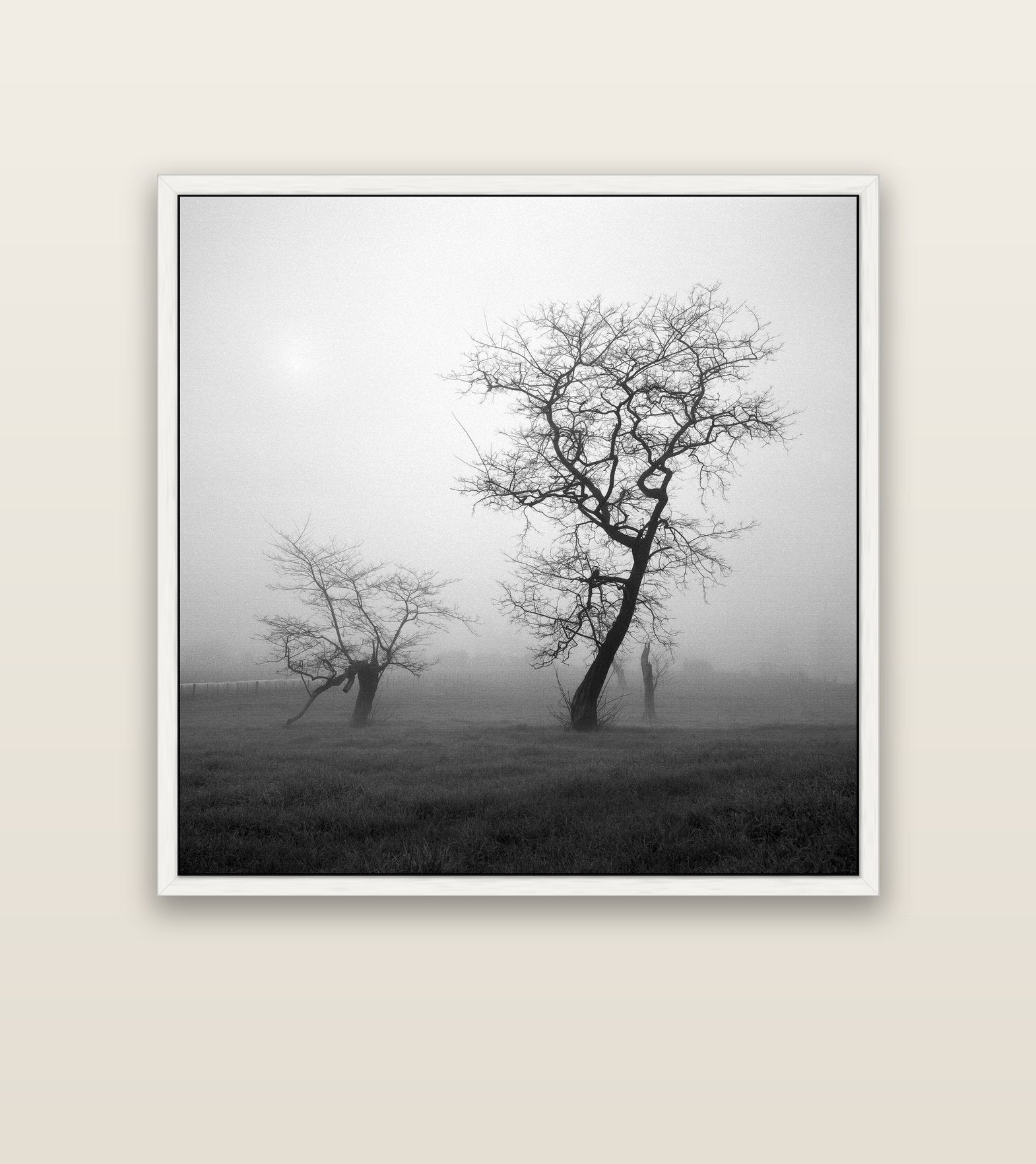 And Child, Waikato — white float frame canvas, 127 × 127 cm. New Zealand fine art landscape wall art by Stephen Milner.