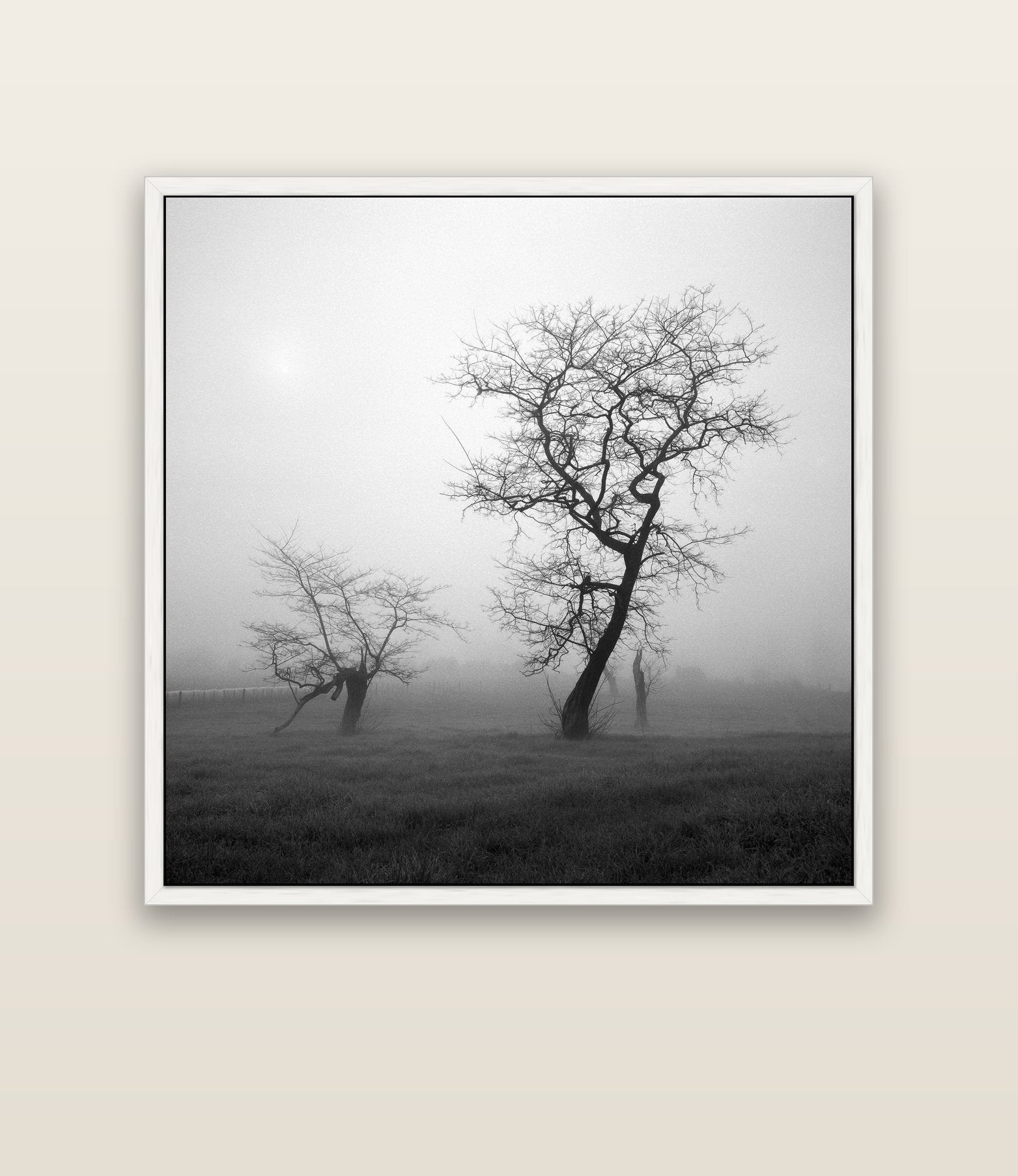 And Child, Waikato — white float frame canvas, 133 × 133 cm. New Zealand fine art landscape wall art by Stephen Milner.