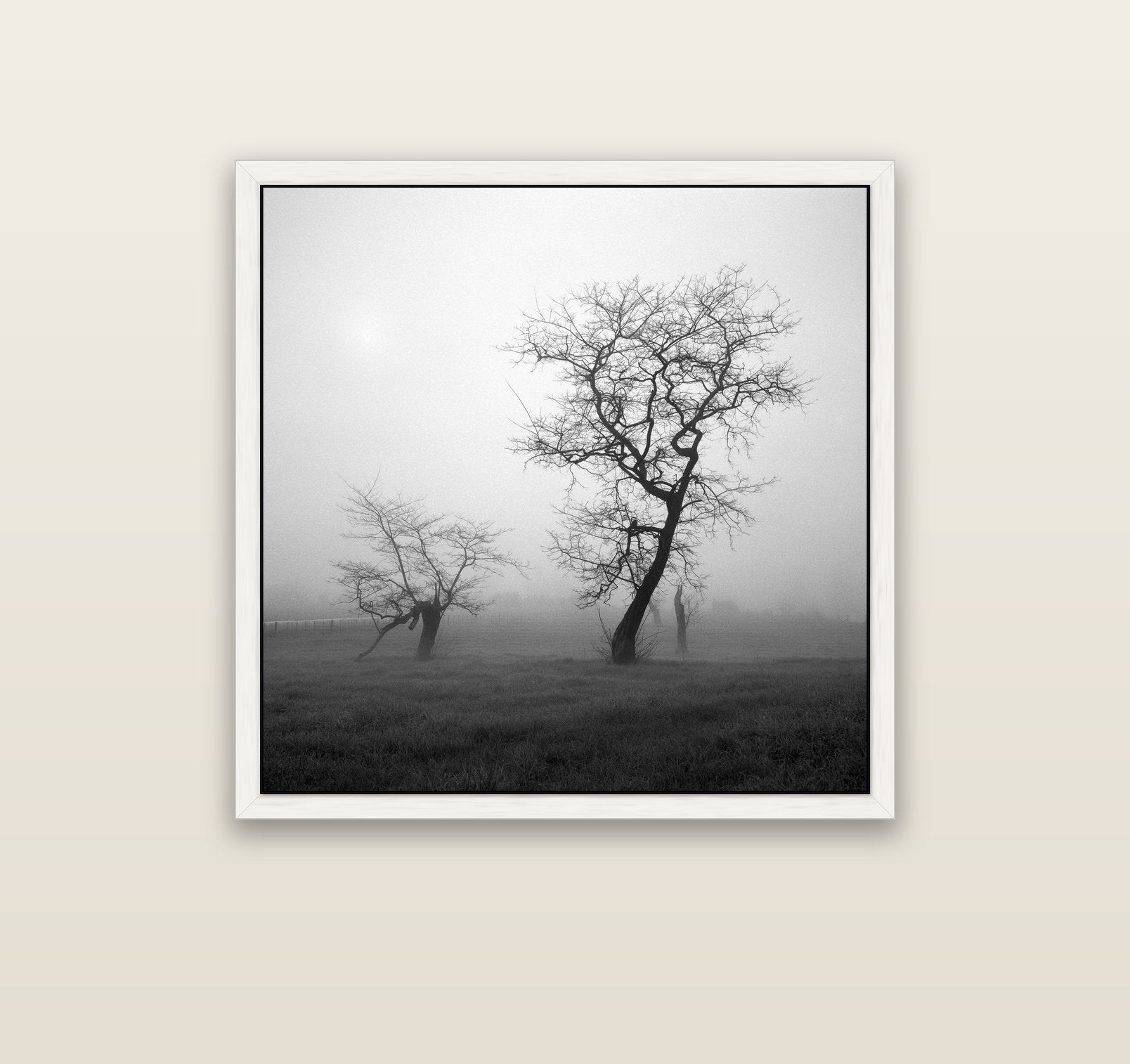 And Child, Waikato — white float frame canvas, 91 × 91 cm. New Zealand fine art landscape wall art by Stephen Milner.