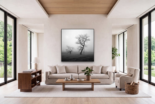 And Child, Waikato shown as large black and white wall art in a styled room, fine art by Stephen Milner.