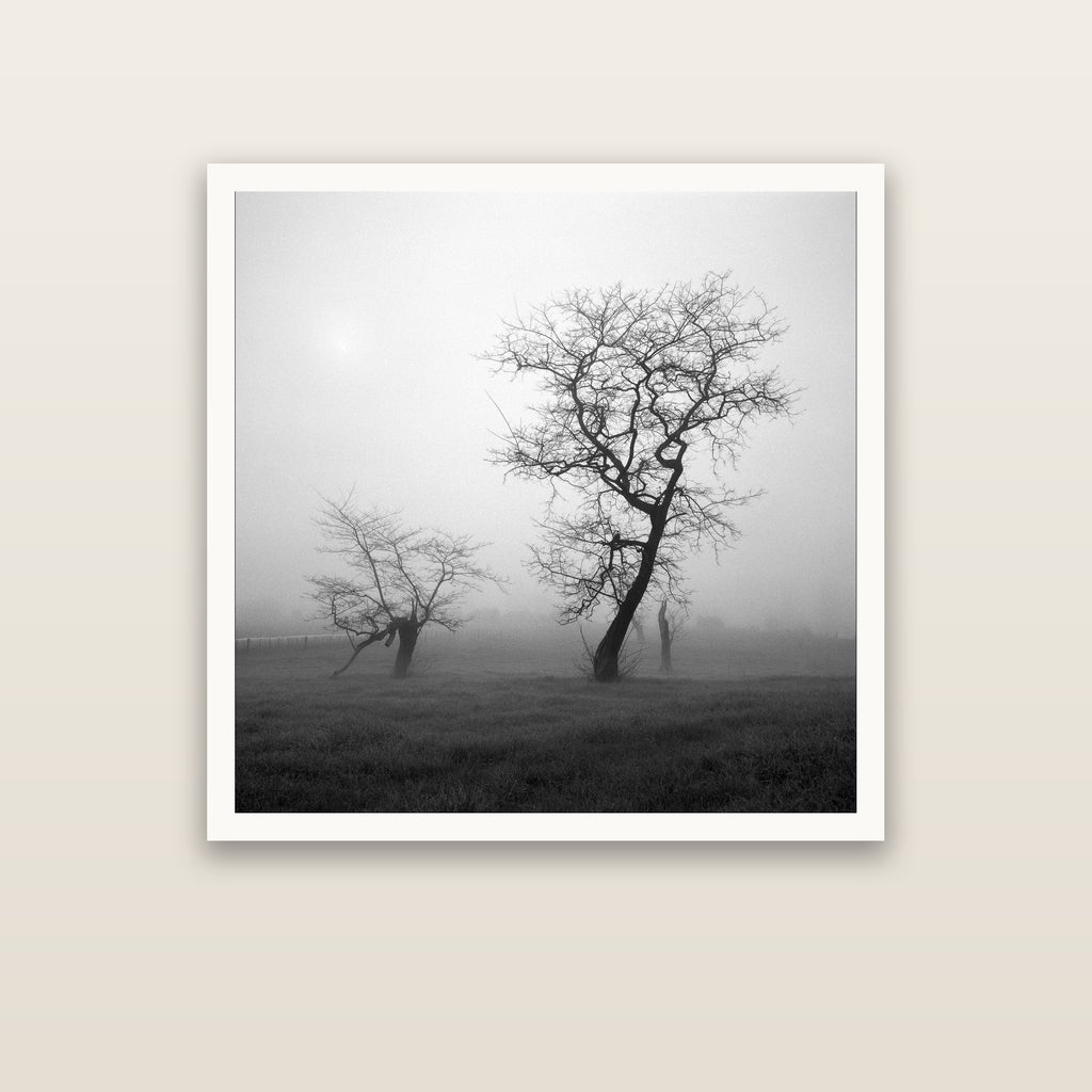 And Child, Waikato — Hahnemühle fine art print. New Zealand fine art landscape photography by Stephen Milner.