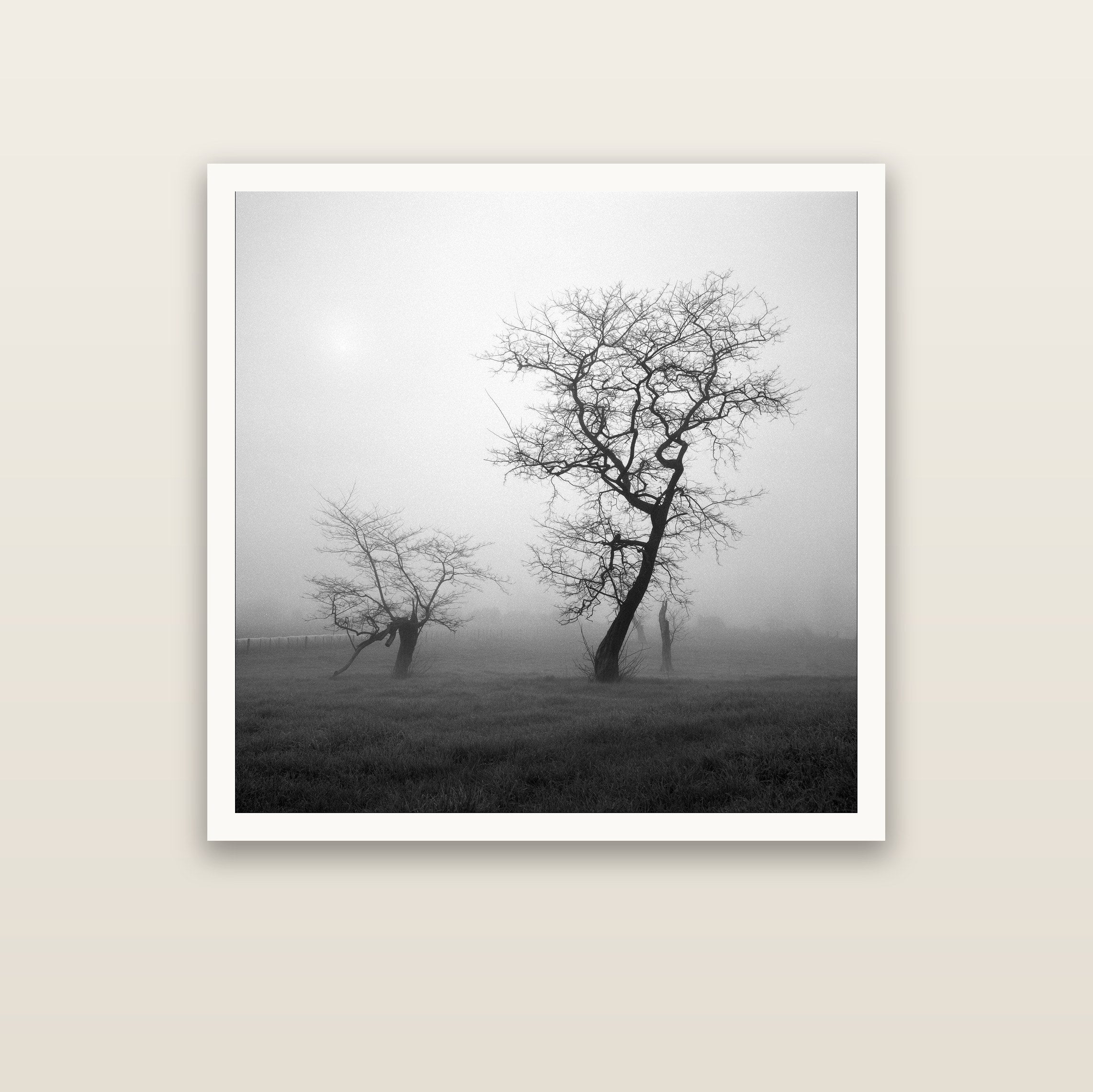 And Child, Waikato — Hahnemühle fine art print. New Zealand fine art landscape photography by Stephen Milner.
