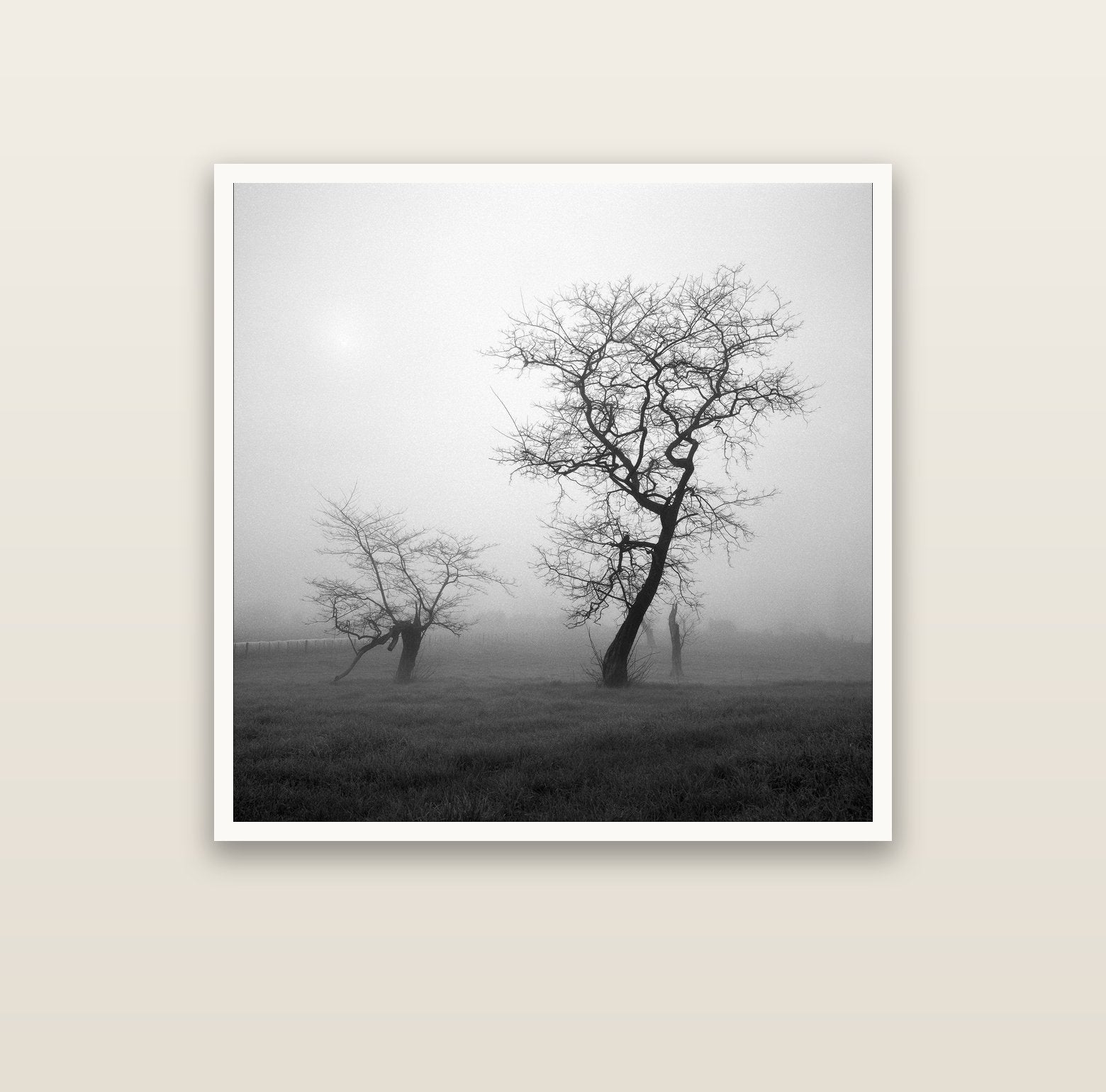 And Child, Waikato — Hahnemühle fine art print, 100 × 100 cm. New Zealand fine art landscape photography by Stephen Milner.