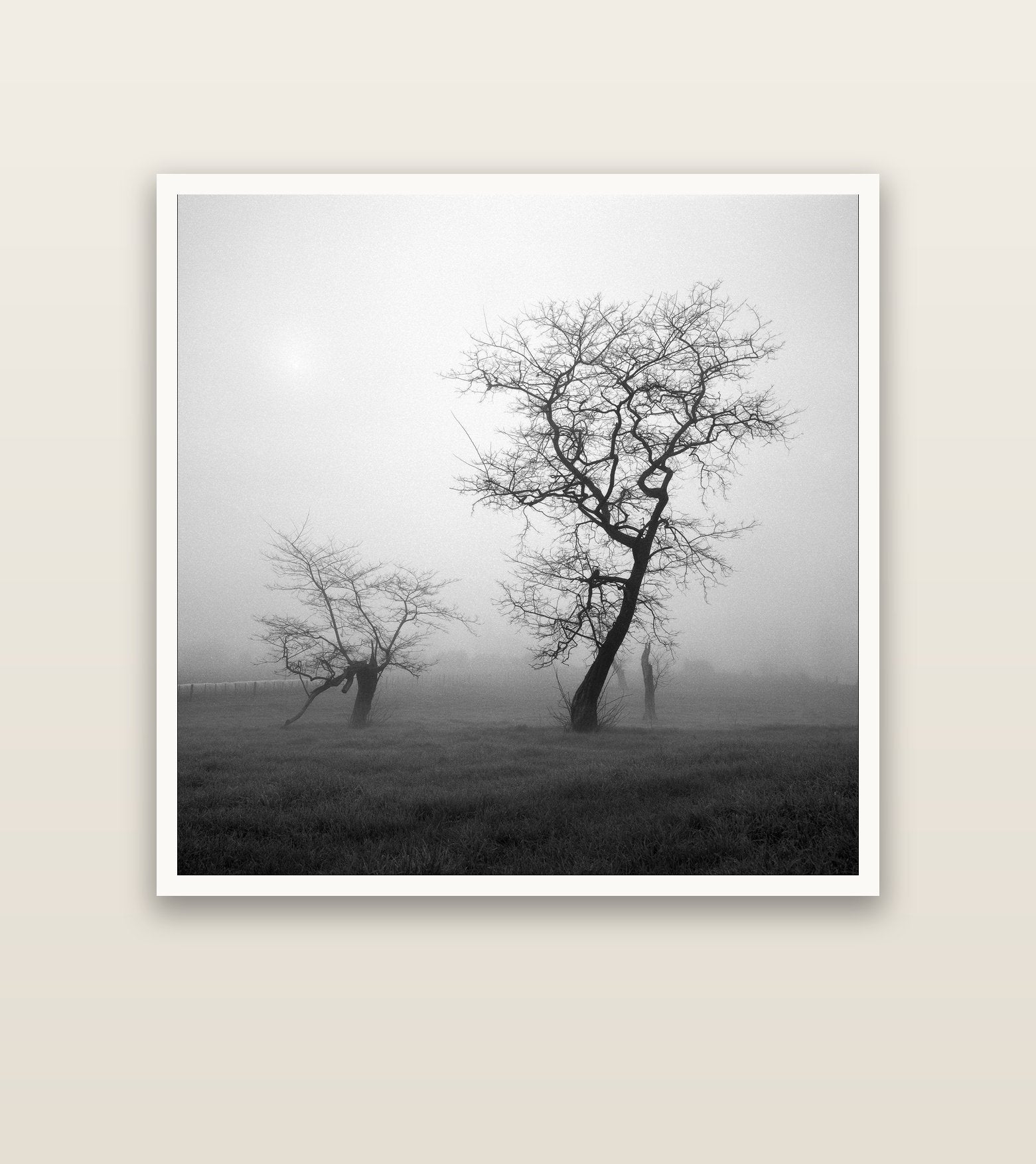 And Child, Waikato — Hahnemühle fine art print, 127 × 127 cm. New Zealand fine art landscape photography by Stephen Milner.
