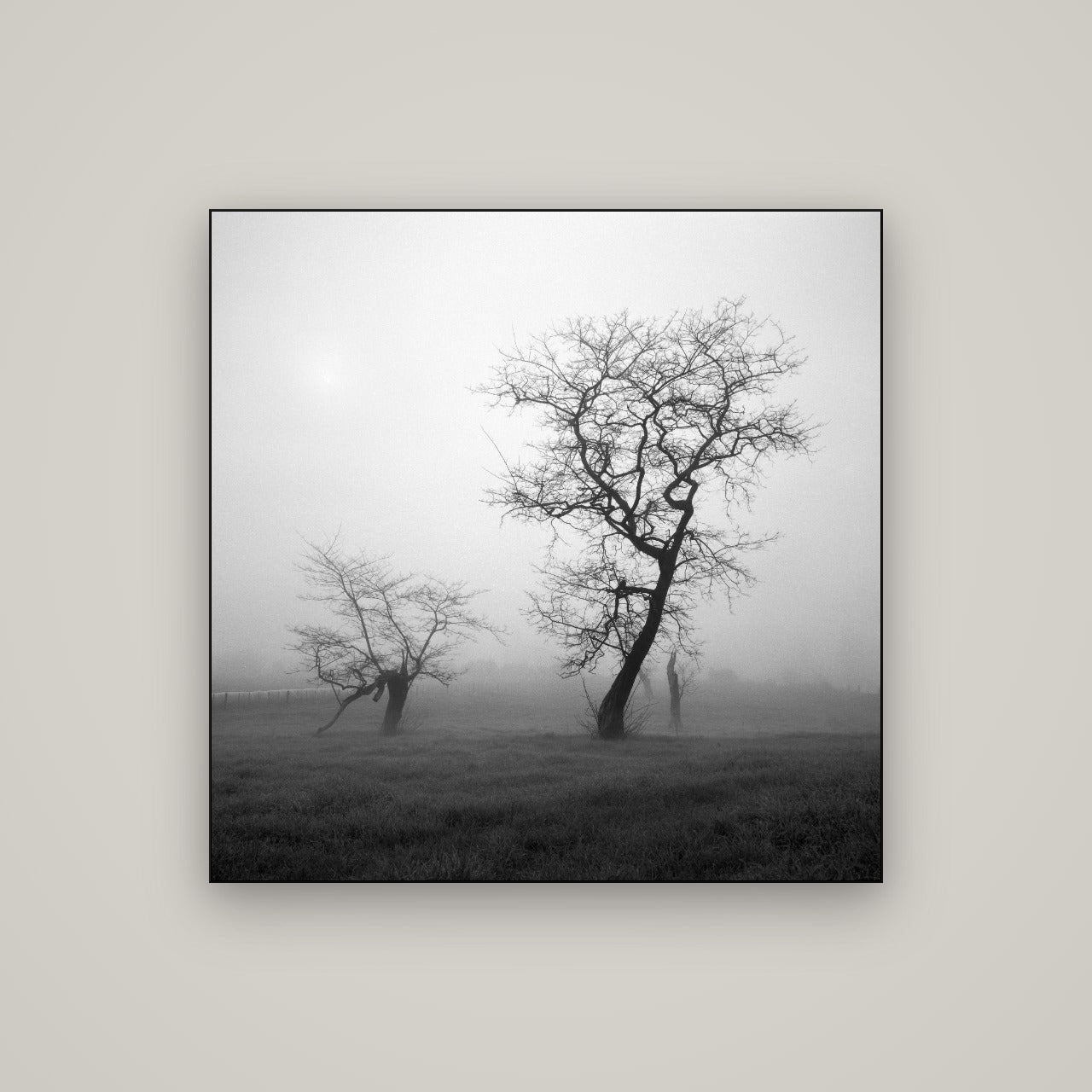 And Child, Waikato — Slimline Black, 100×100 cm. New Zealand fine art wall art by Stephen Milner.