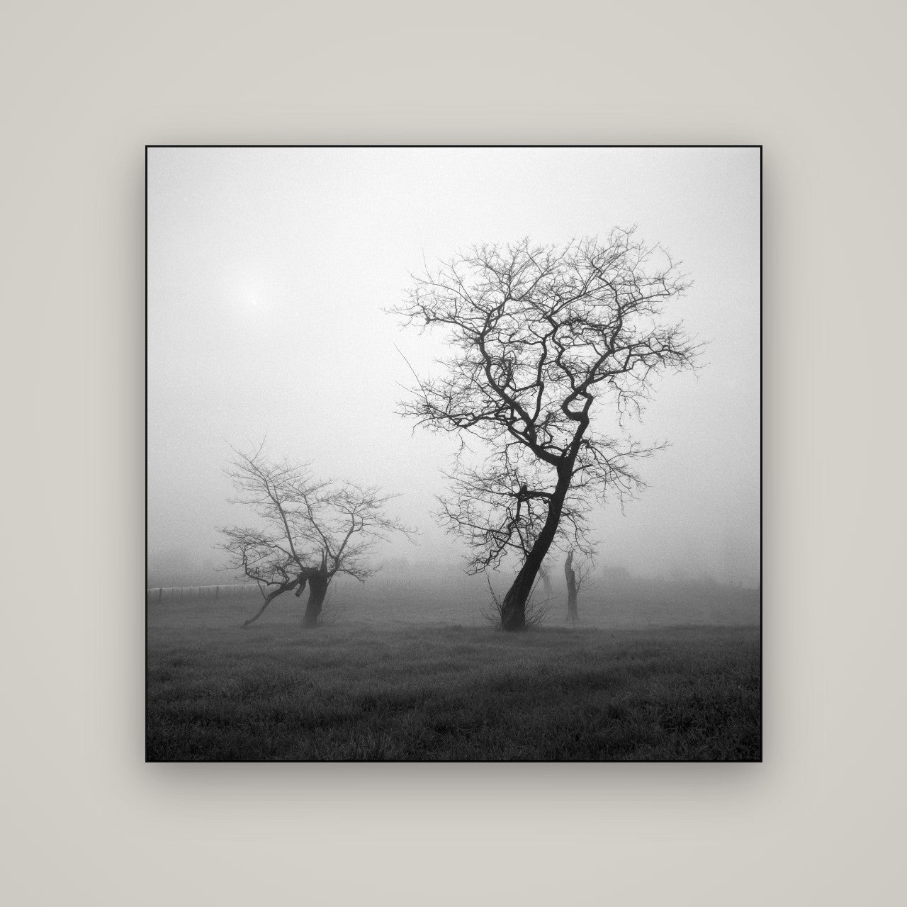 And Child, Waikato — Slimline Black, 120×120 cm. New Zealand fine art wall art by Stephen Milner.