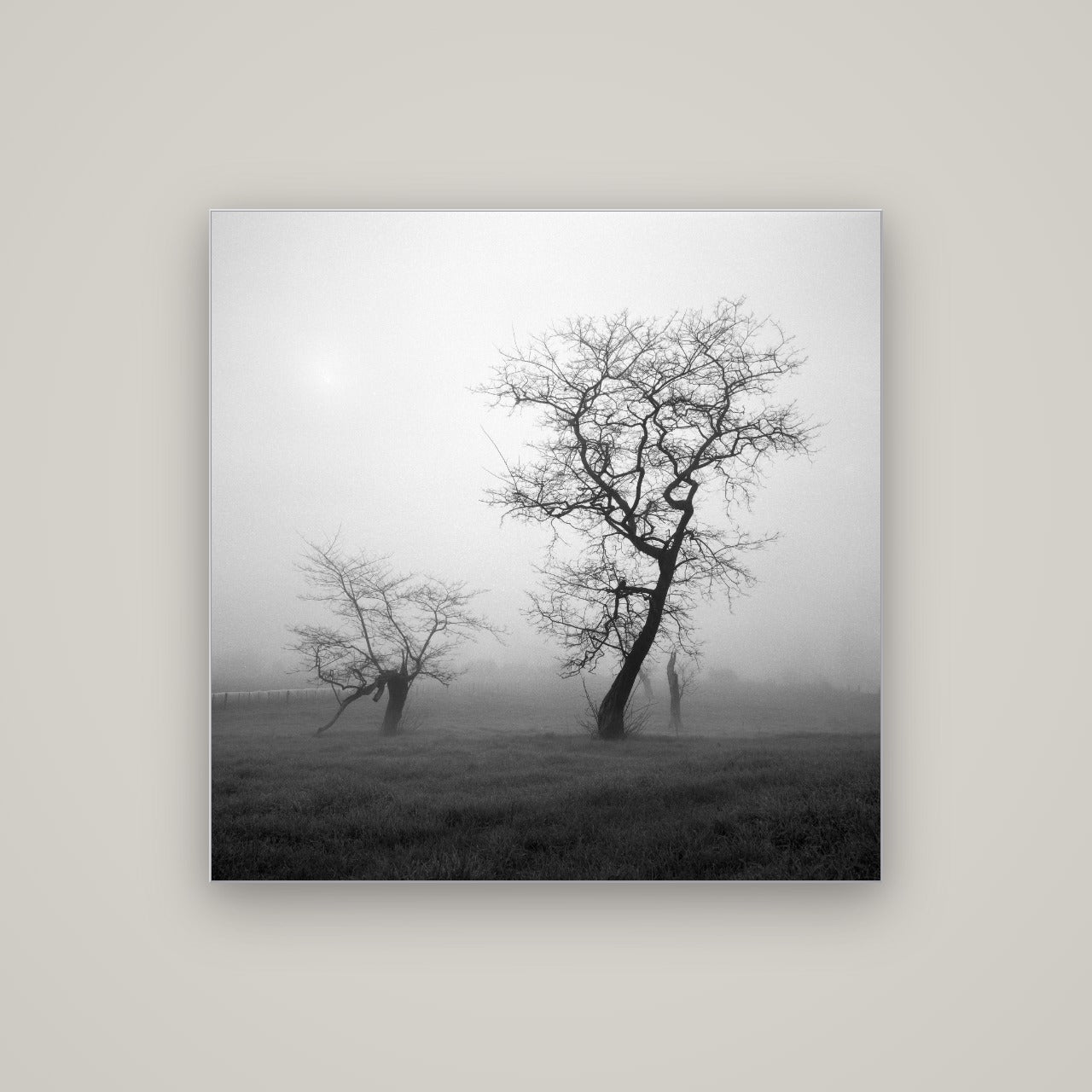 And Child, Waikato — Slimline Silver, 100×100 cm. New Zealand fine art wall art by Stephen Milner.