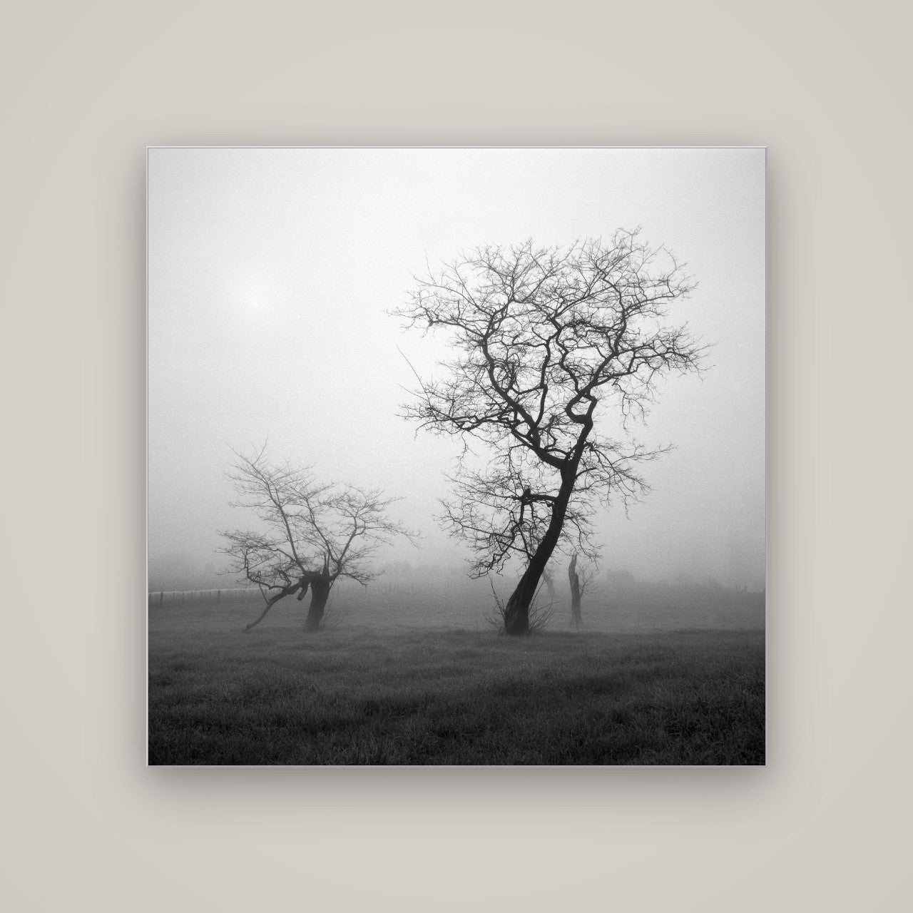 And Child, Waikato — Slimline Silver, 120×120 cm. New Zealand fine art wall art by Stephen Milner.