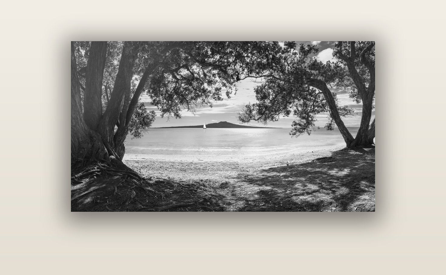 Auckland's Canvas, Pōhutukawa Symphony — acrylic glass print, 122 × 61 cm. New Zealand fine art landscape wall art by Stephen Milner.