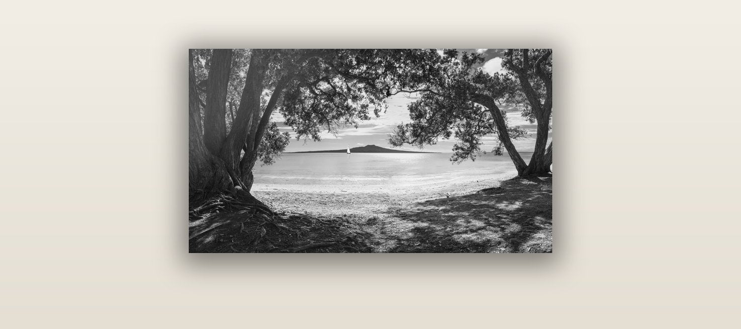 Auckland's Canvas, Pōhutukawa Symphony — acrylic glass print, 61 × 30 cm. New Zealand fine art landscape wall art by Stephen Milner.